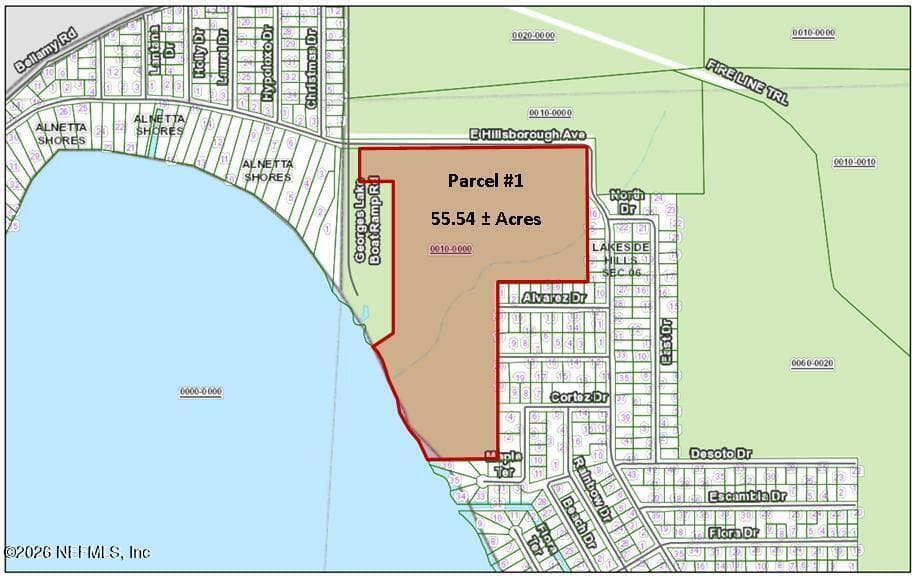 Photo 2 of (PARCEL 1) E HILLSBOROUGH Avenue, Florahome, FL 32140