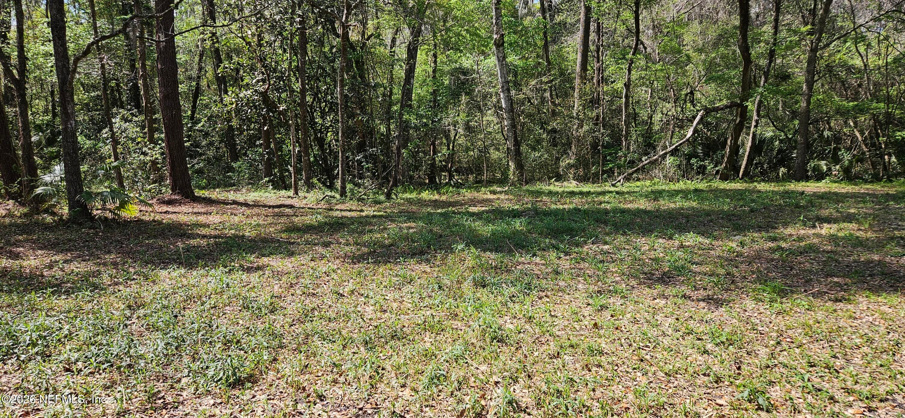 Photo 7 of 0 COULEE Avenue, Jacksonville, FL 32210