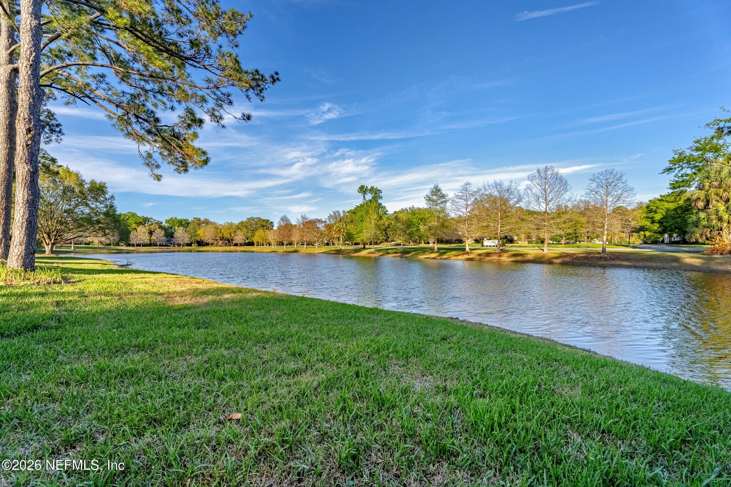Photo 62 of 10042 LAKE LAMAR Court, Jacksonville, FL 32256