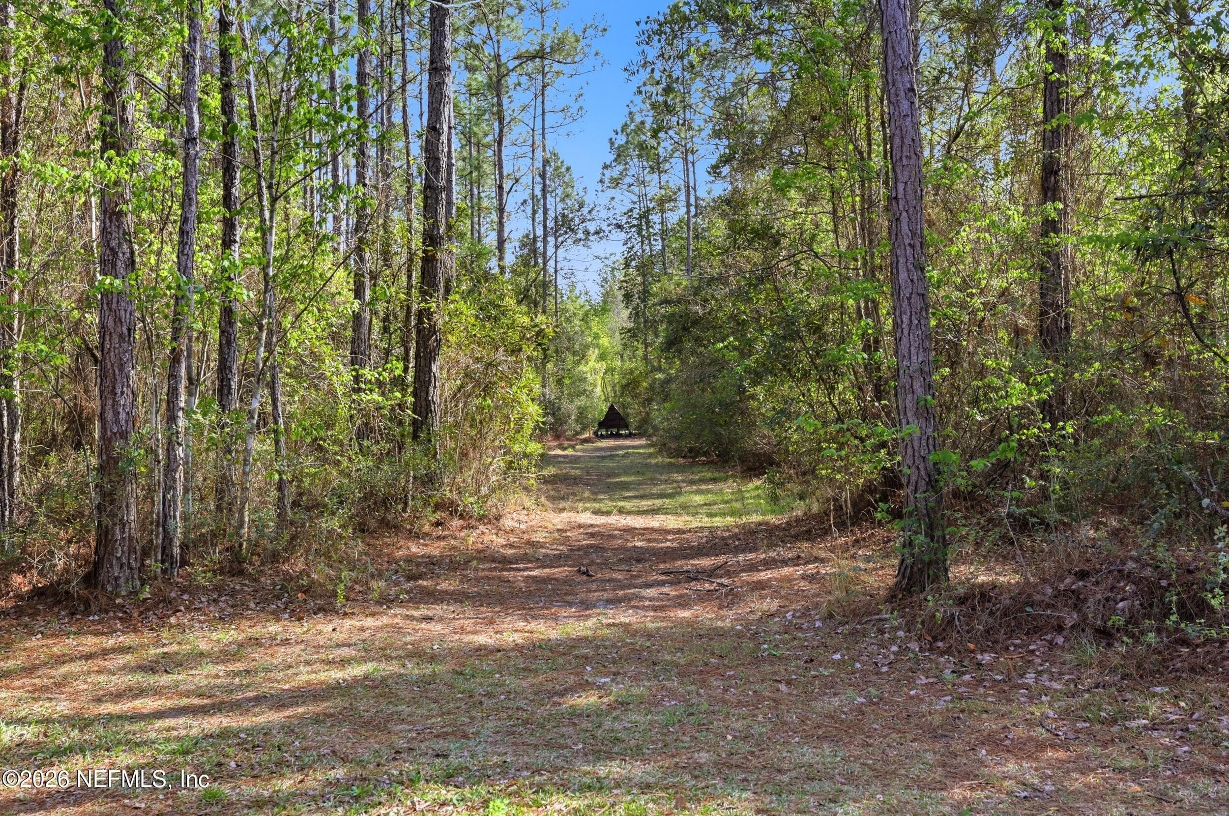 Photo 48 of 8796 GIN HENRY Lane, Glen St. Mary, FL 32040