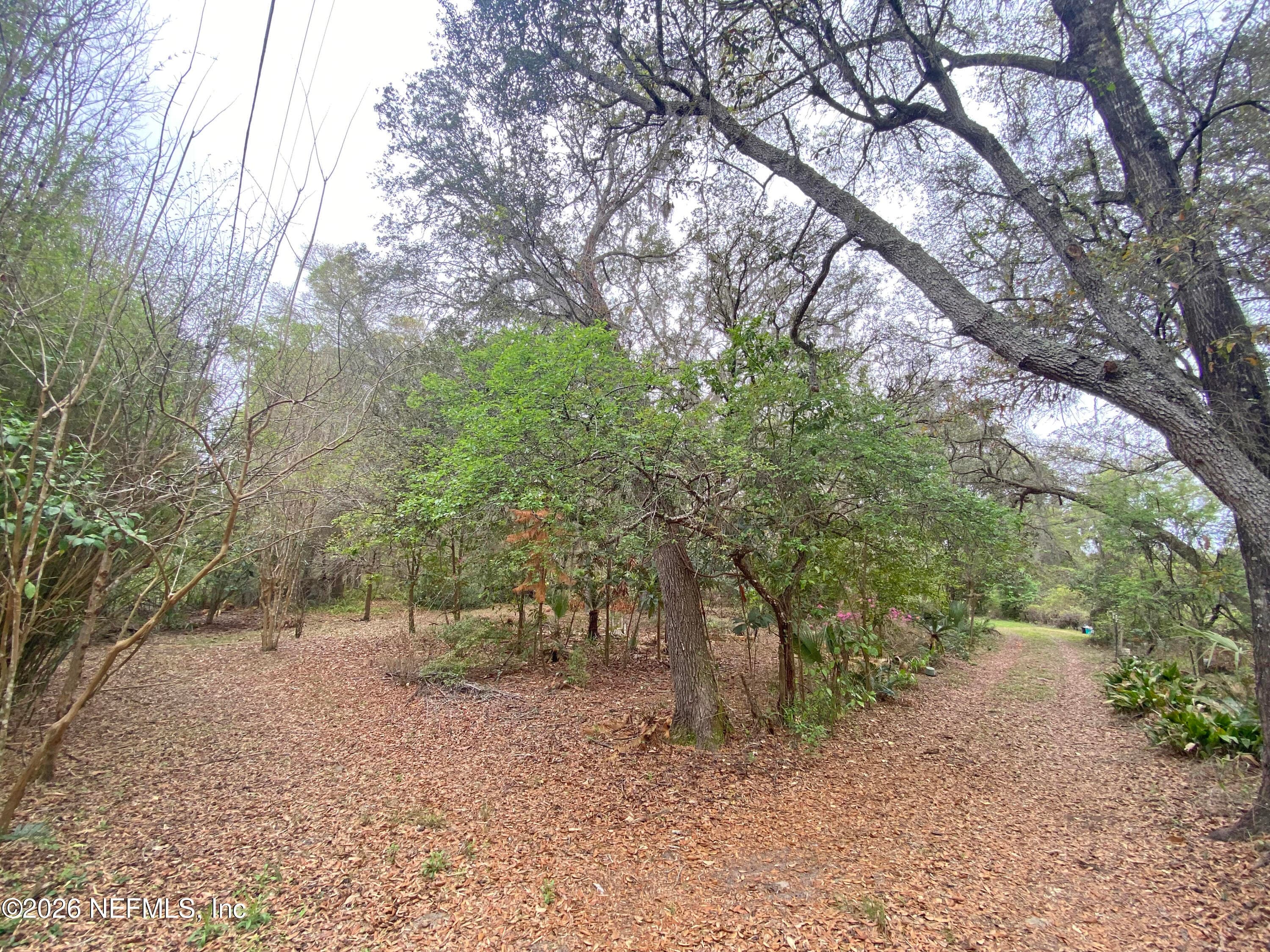 Photo 4 of 119 TWIN LAKES Road, Hawthorne, FL 32640