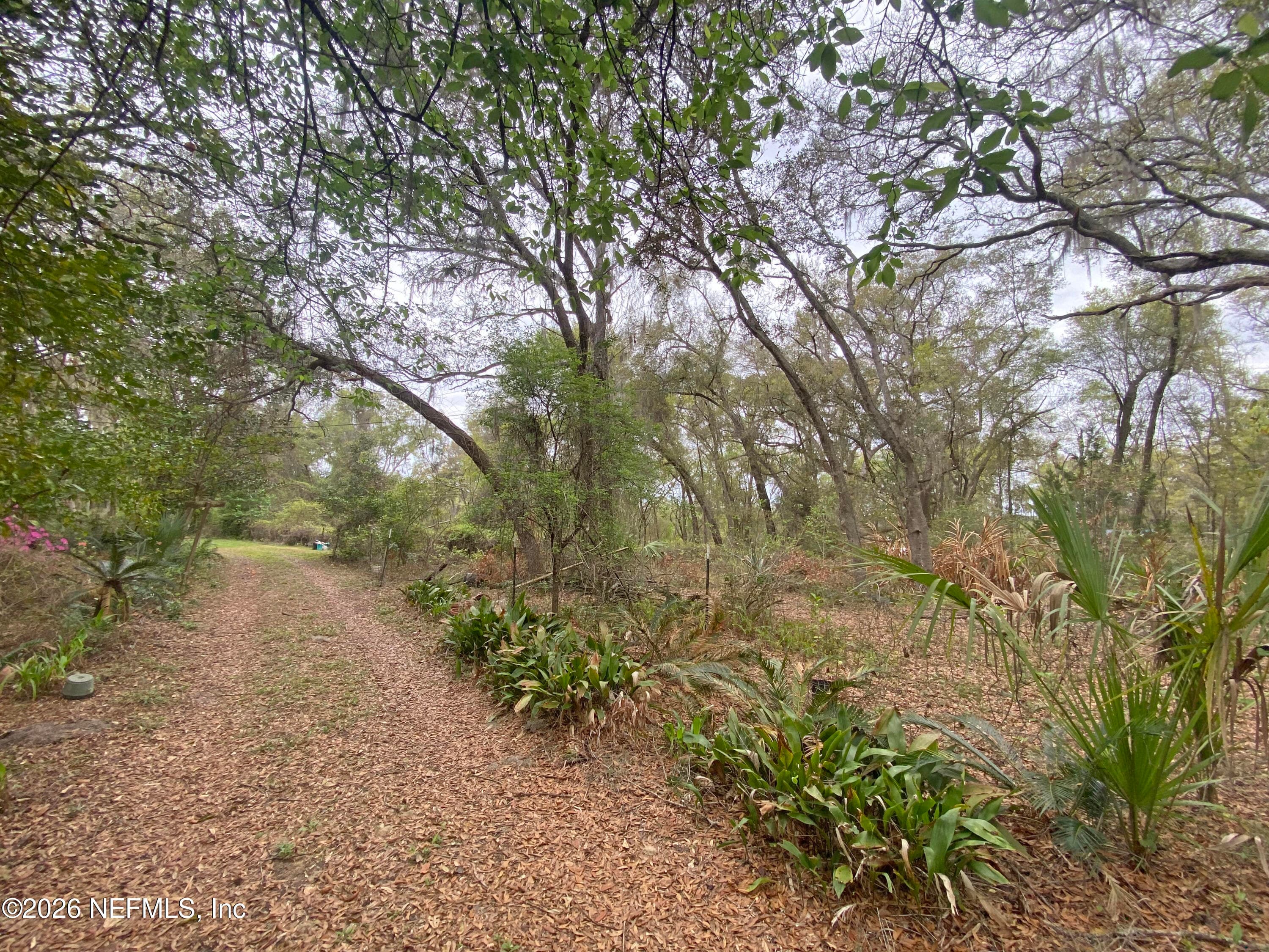 Photo 6 of 119 TWIN LAKES Road, Hawthorne, FL 32640