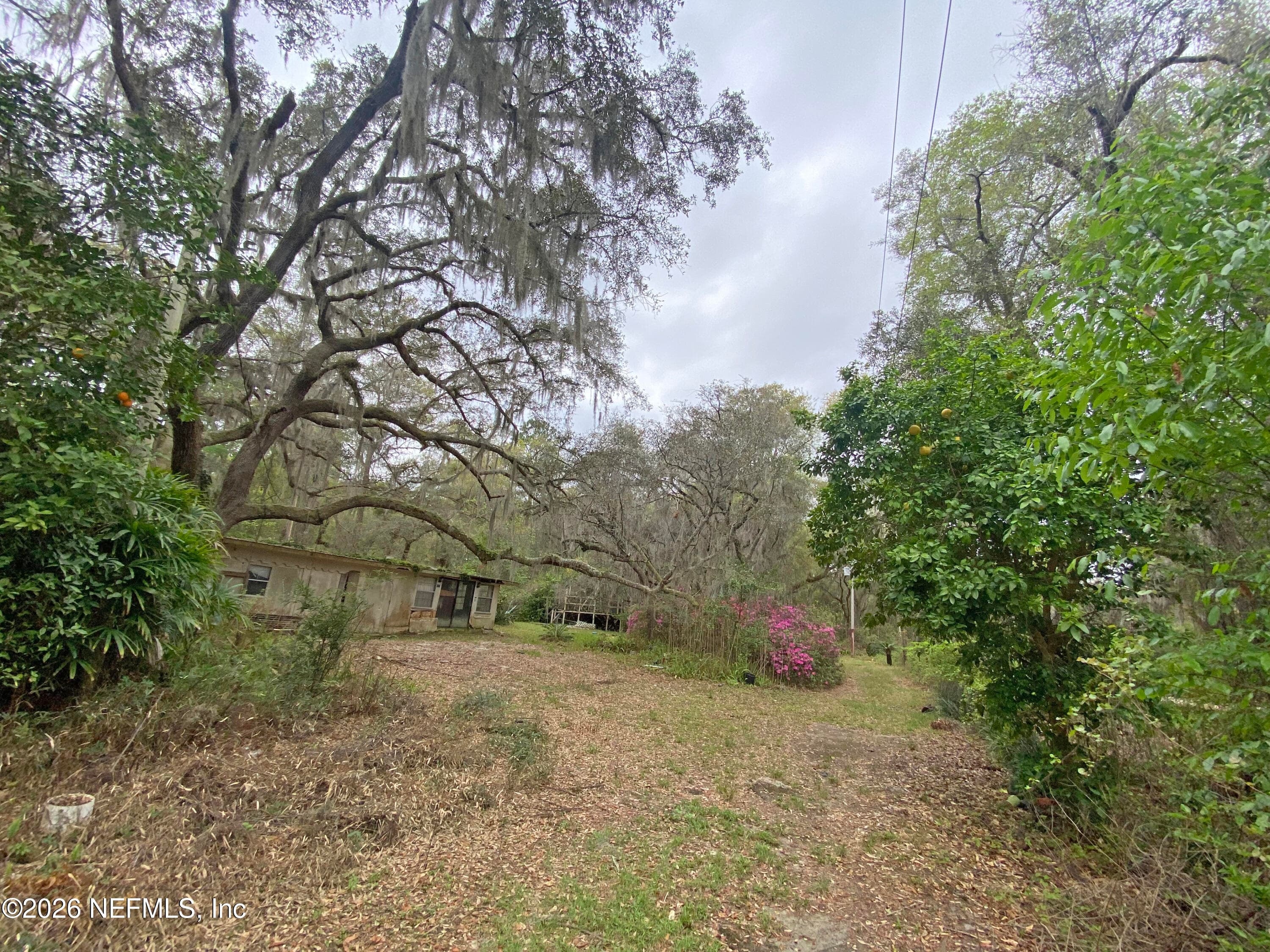 Photo 14 of 119 TWIN LAKES Road, Hawthorne, FL 32640