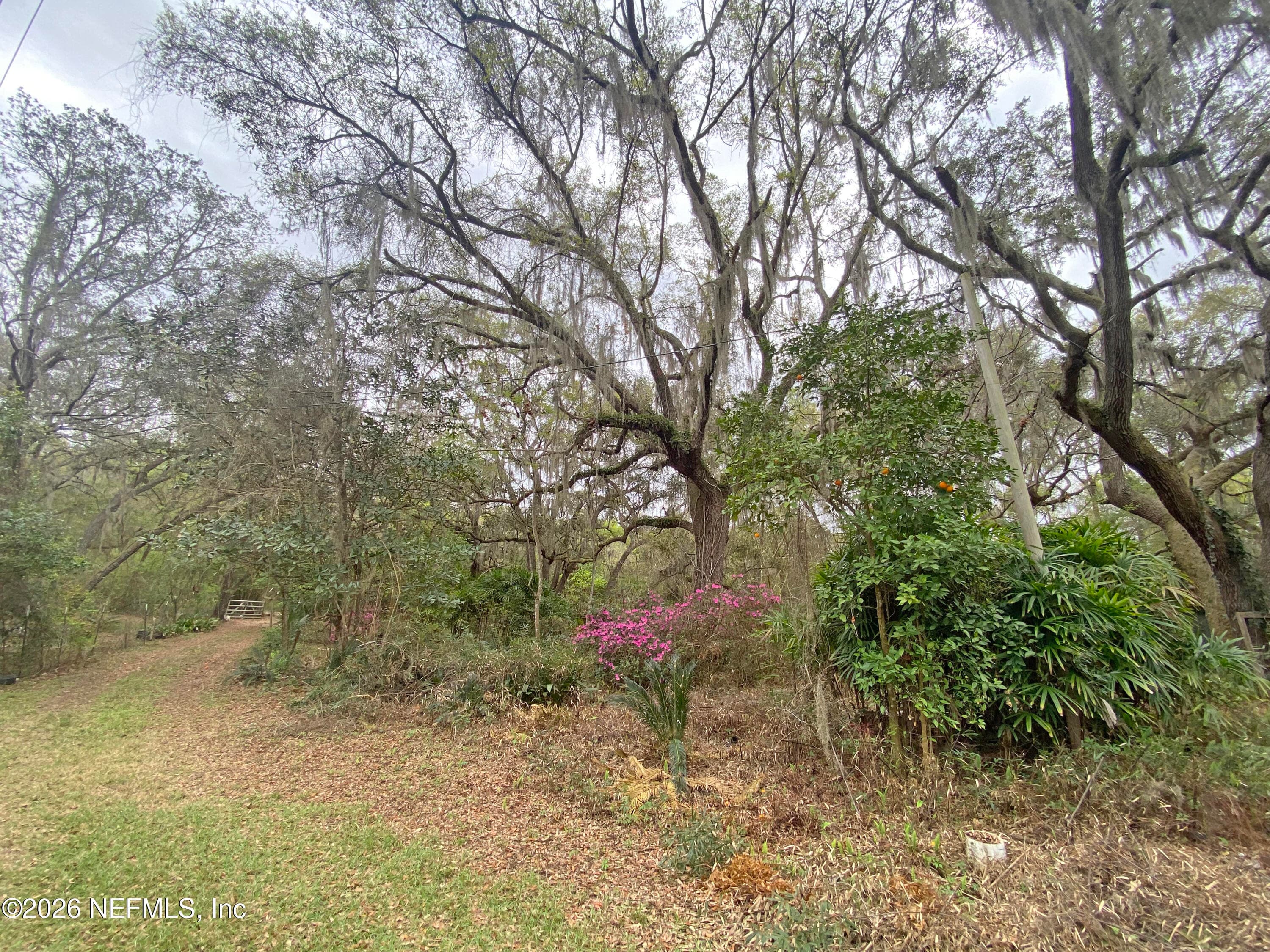 Photo 15 of 119 TWIN LAKES Road, Hawthorne, FL 32640