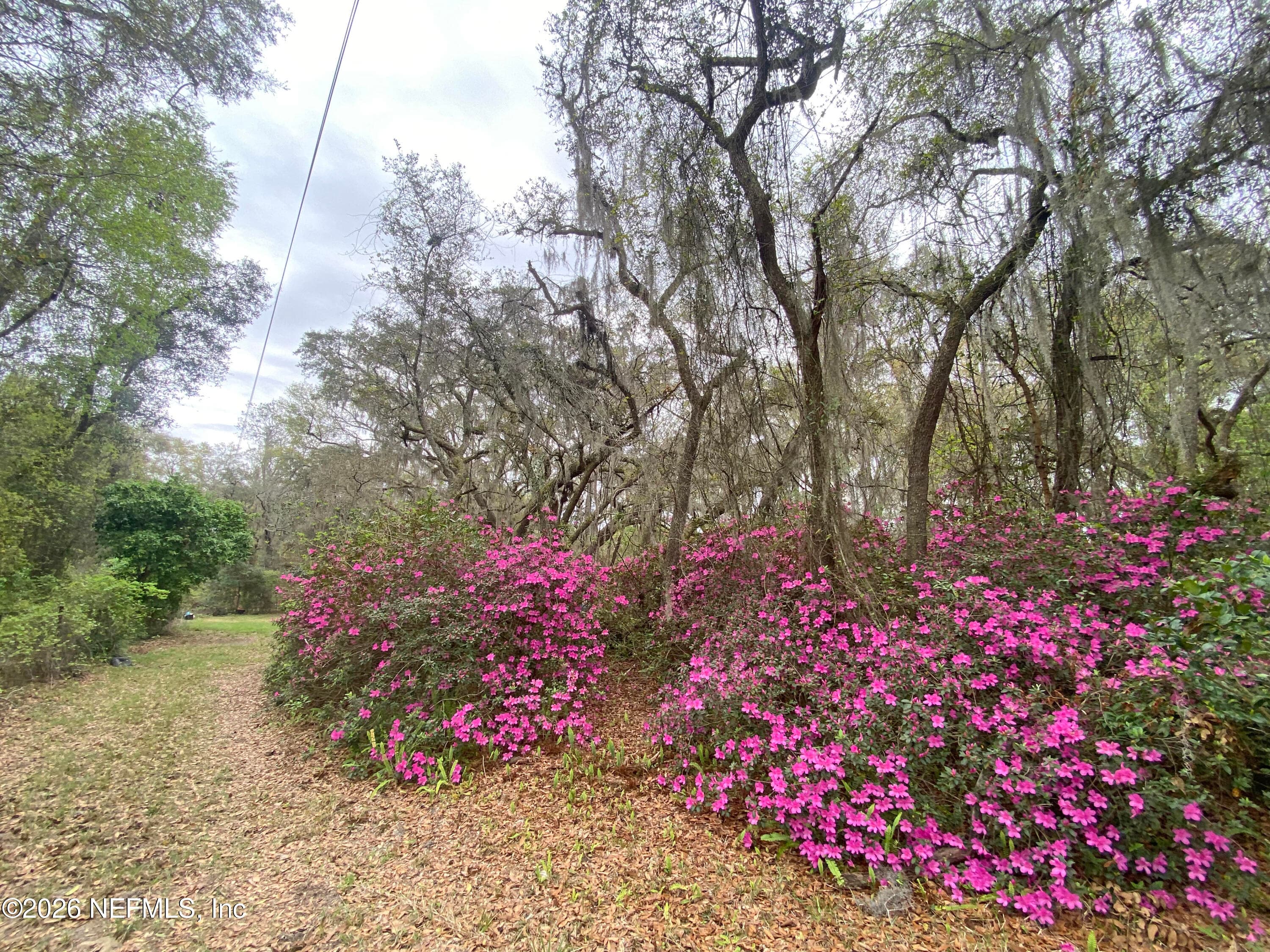 Photo 20 of 119 TWIN LAKES Road, Hawthorne, FL 32640