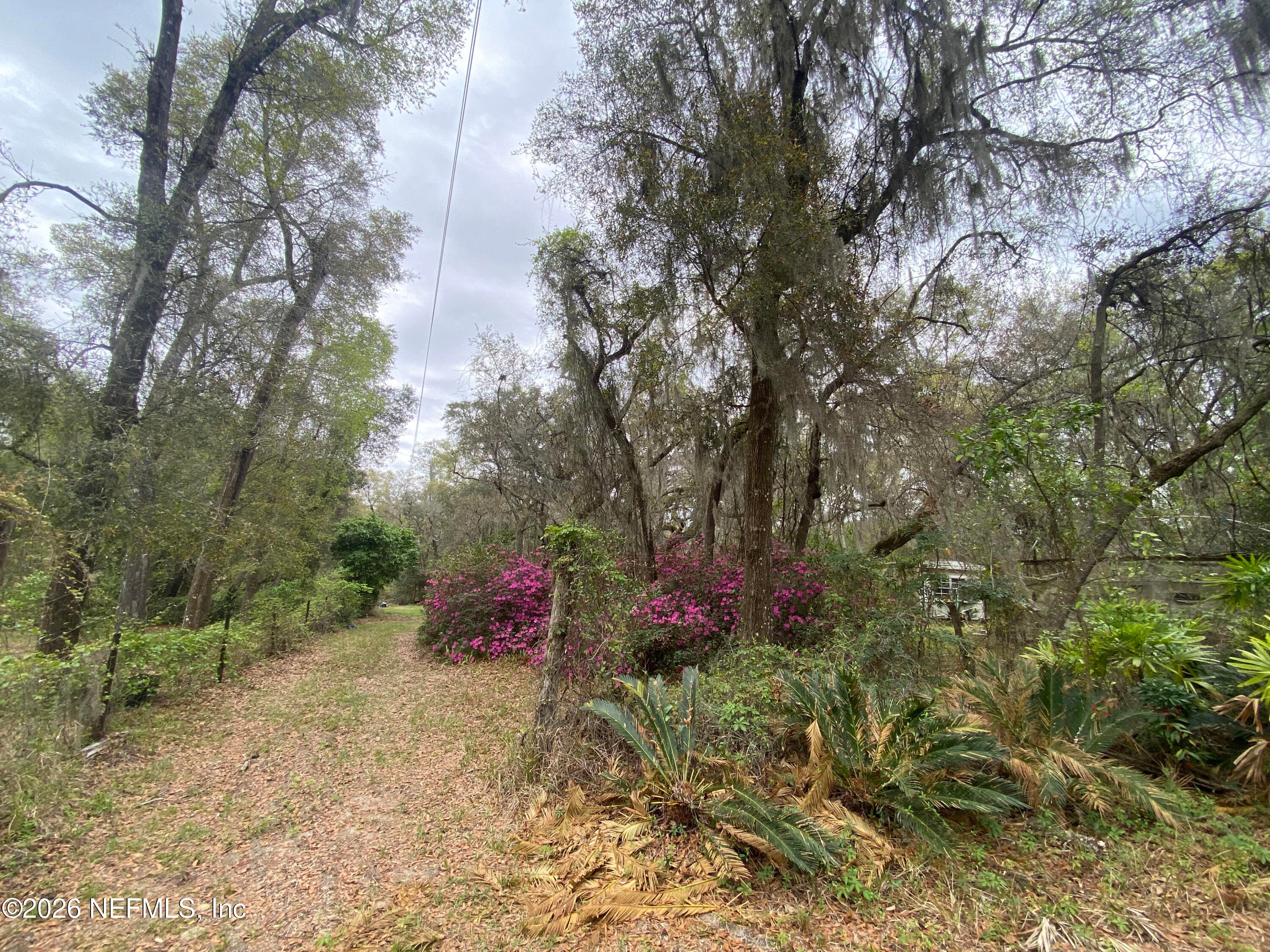 Photo 21 of 119 TWIN LAKES Road, Hawthorne, FL 32640
