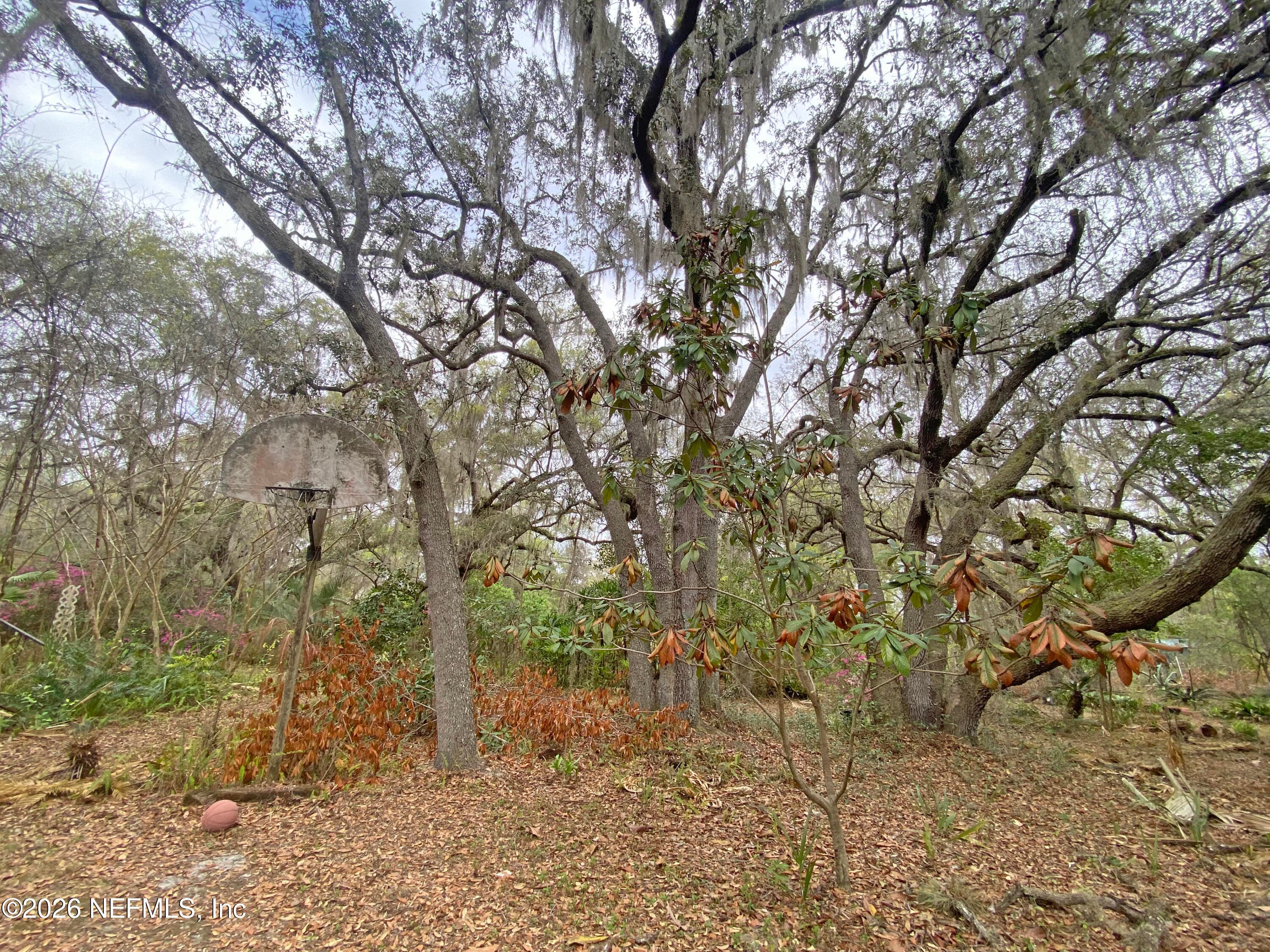 Photo 62 of 119 TWIN LAKES Road, Hawthorne, FL 32640
