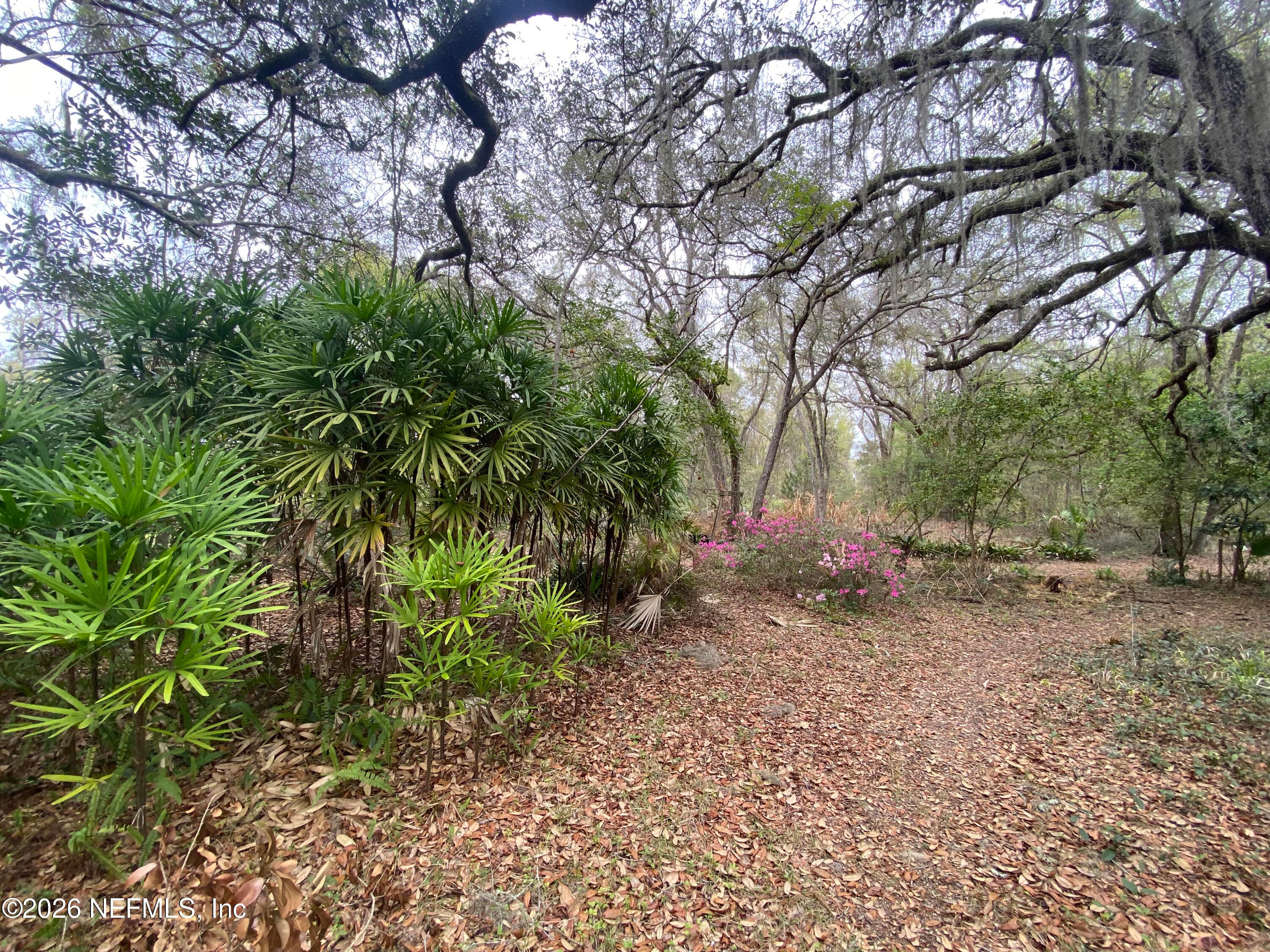 Photo 66 of 119 TWIN LAKES Road, Hawthorne, FL 32640