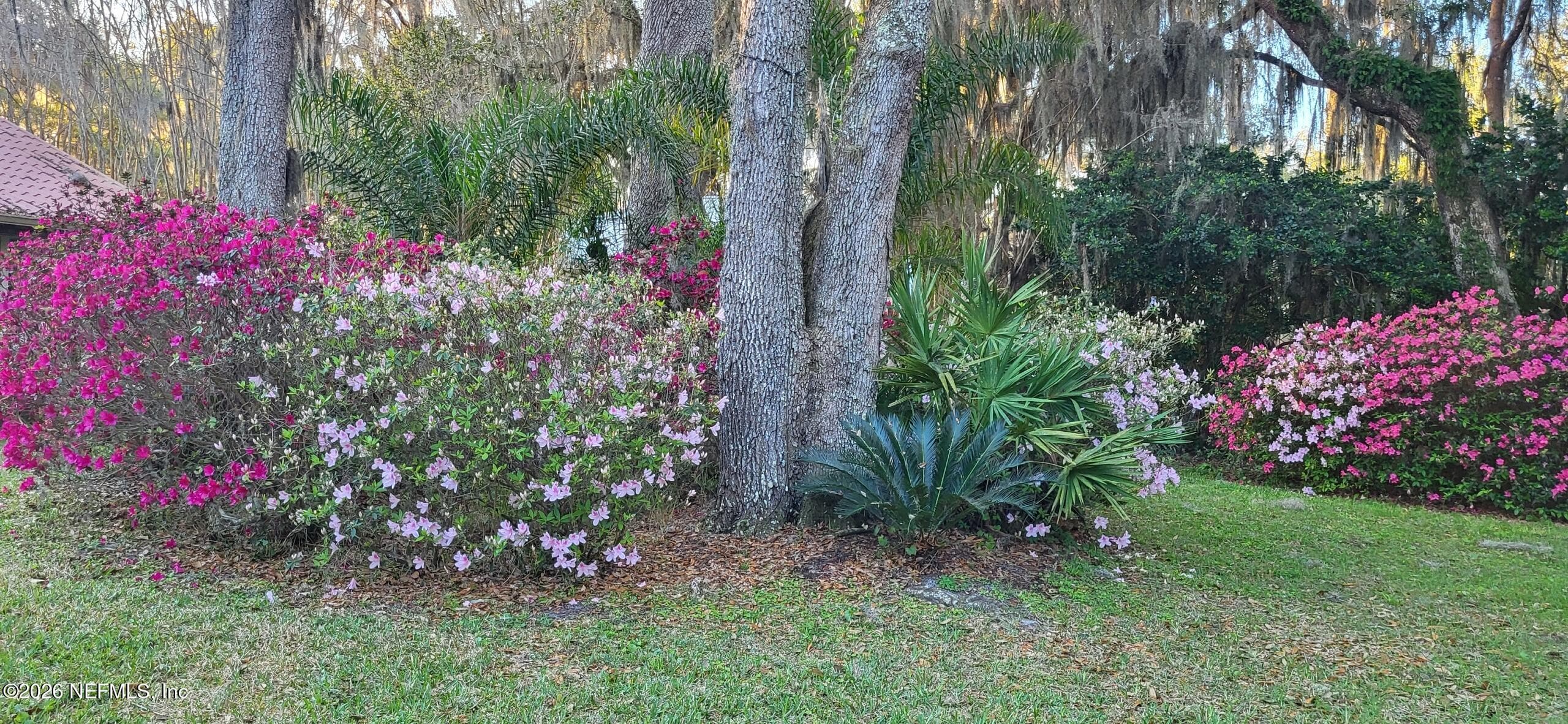 Photo 74 of 524 CEDAR CREEK Road, Palatka, FL 32177
