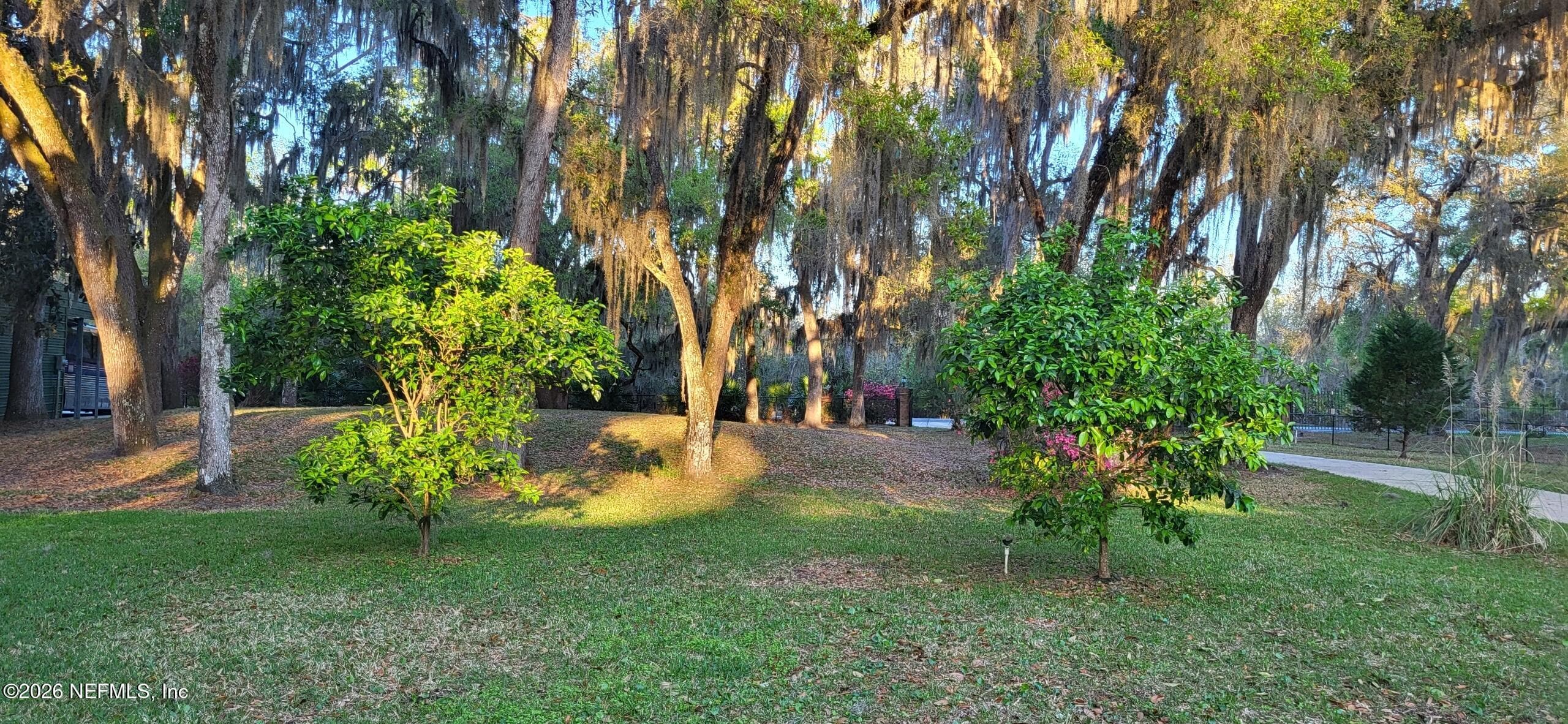 lemon, fig, orange and grapefruit — 524 CEDAR CREEK Road, Palatka, FL 32177