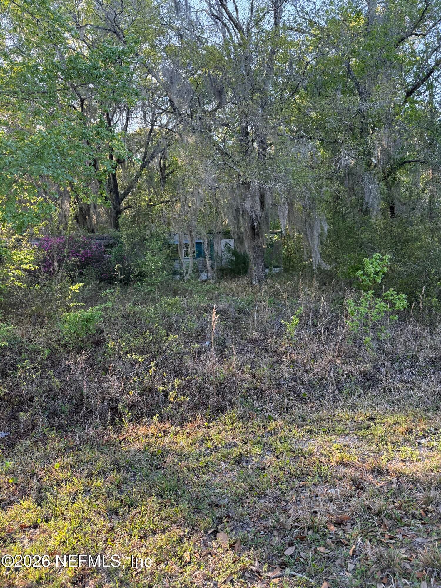 Photo 17 of 14200 SE 44TH Avenue, Starke, FL 32091