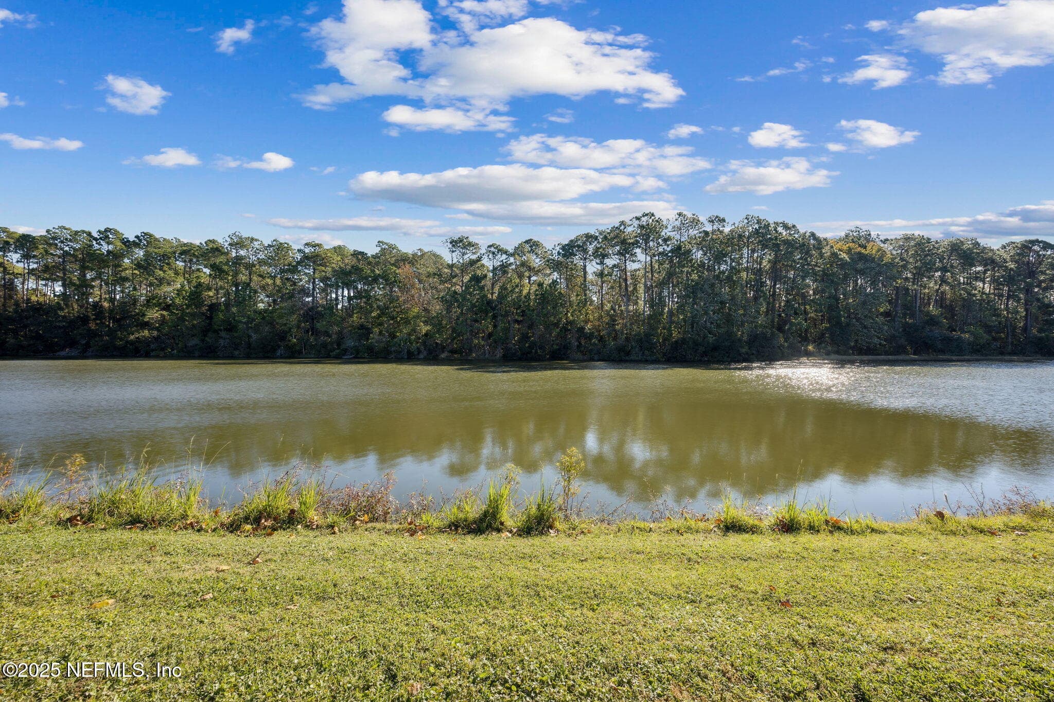 Photo 46 of 86885 WORTHINGTON Drive, Yulee, FL 32097