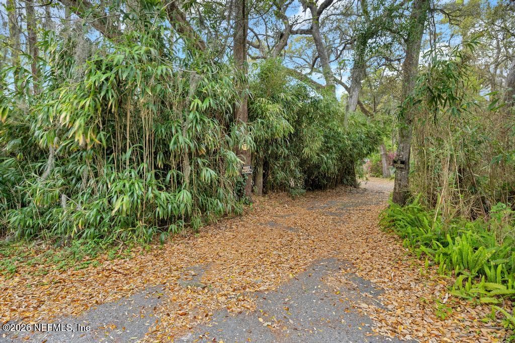 Photo 42 of 4634 WHIMBREL Lane, Fernandina Beach, FL 32034