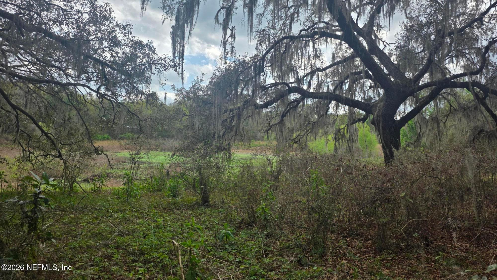Photo 5 of 6656 COUNTY ROAD 315C, Keystone Heights, FL 32656
