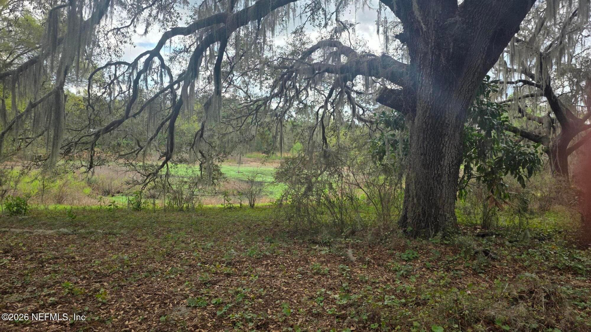 Photo 6 of 6656 COUNTY ROAD 315C, Keystone Heights, FL 32656