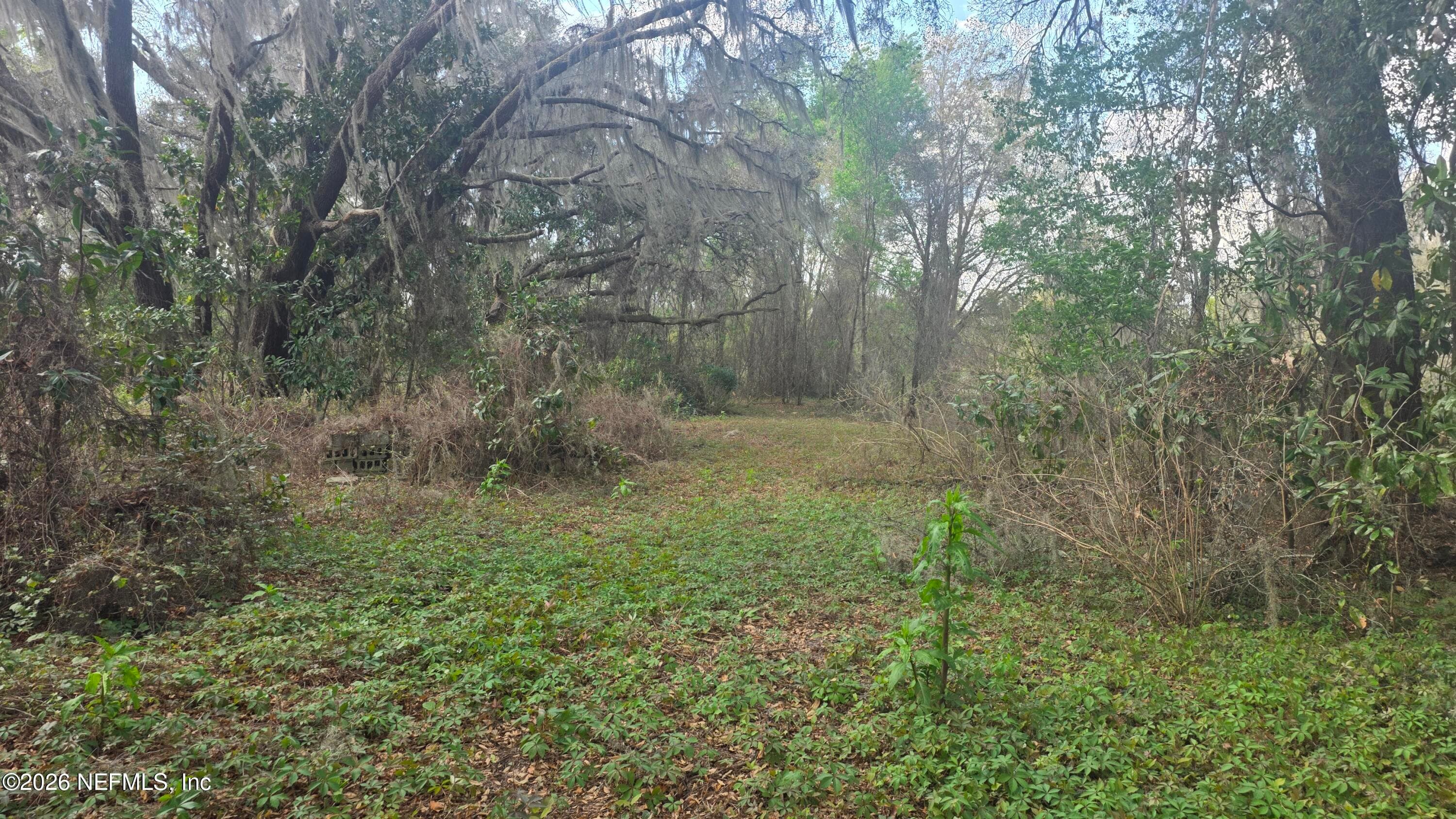 Photo 7 of 6656 COUNTY ROAD 315C, Keystone Heights, FL 32656