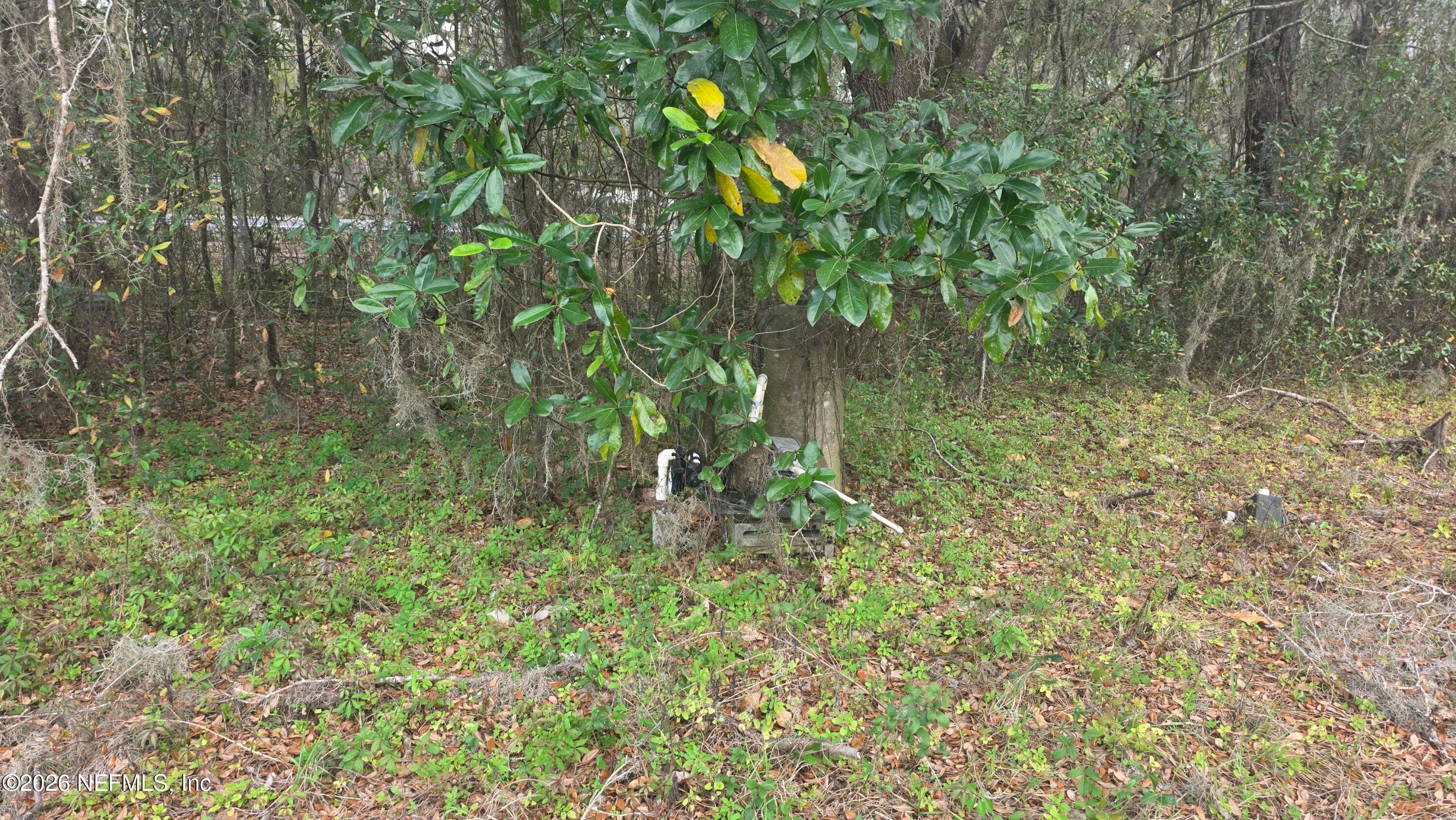 Photo 8 of 6656 COUNTY ROAD 315C, Keystone Heights, FL 32656