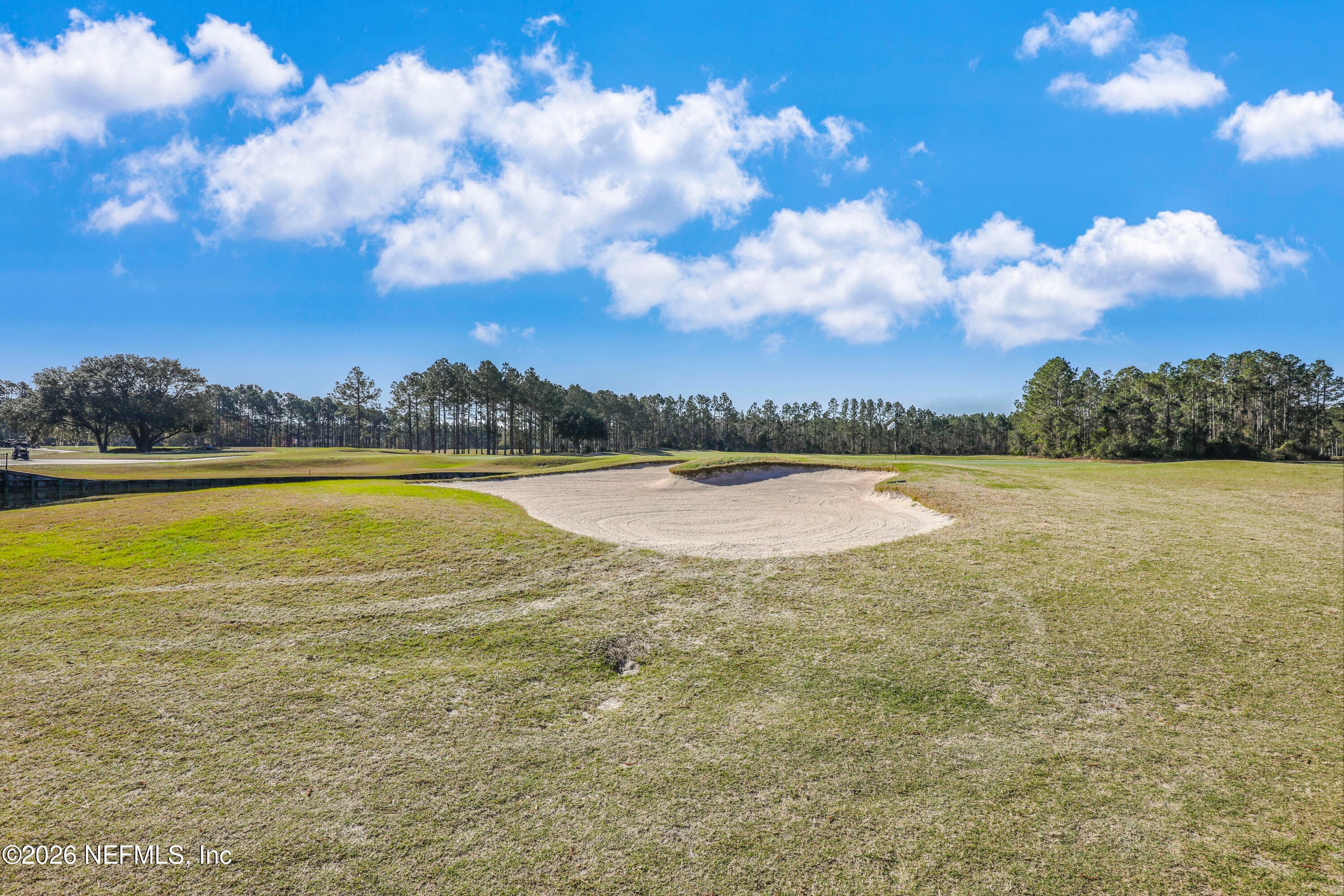 Photo 46 of 1460 AUTUMN PINES Drive, Orange Park, FL 32065