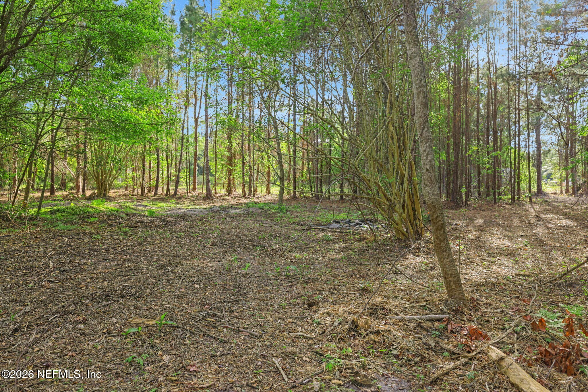 Photo 38 of 1133 GIRVIN Road, Jacksonville, FL 32225