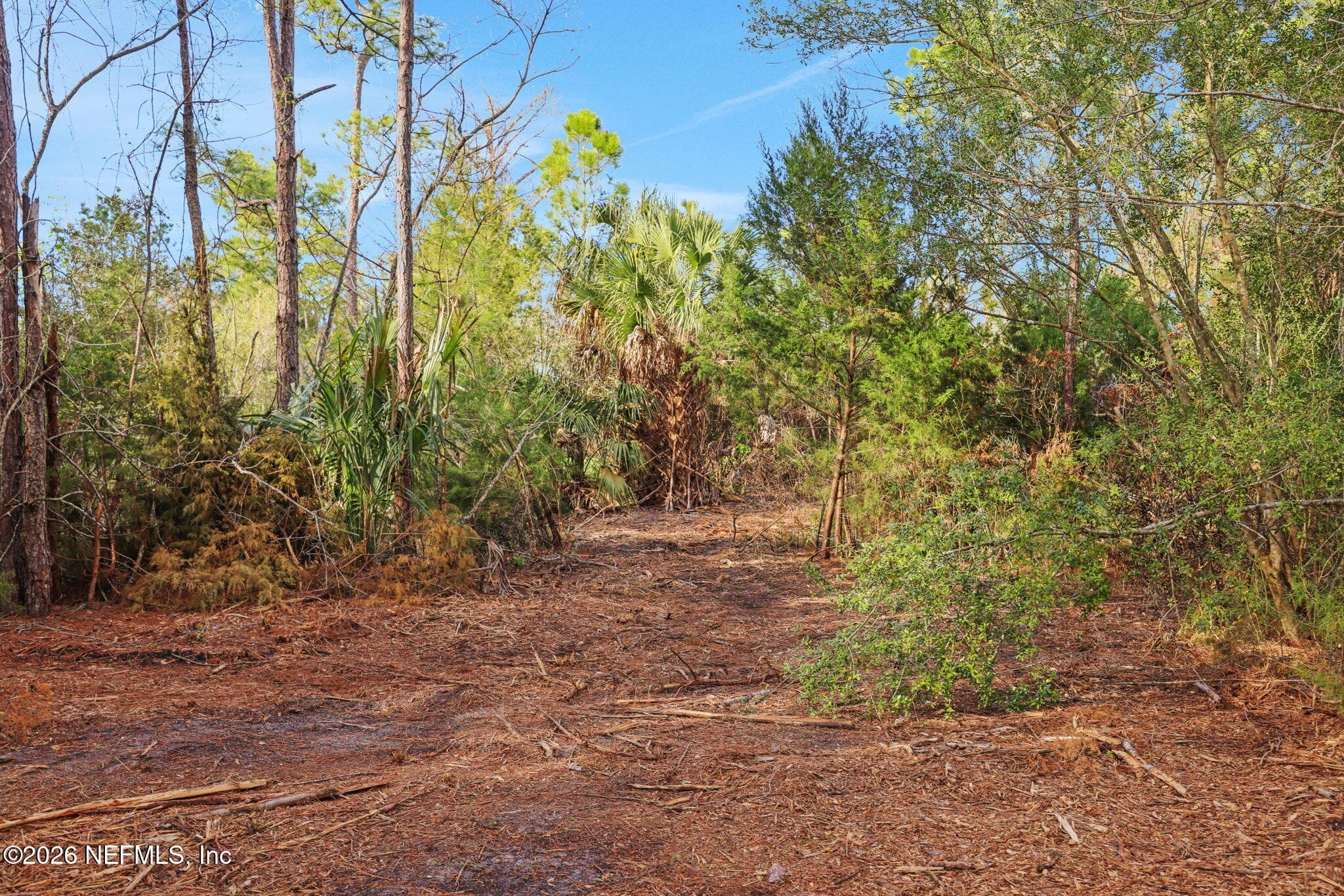 Photo 42 of 1133 GIRVIN Road, Jacksonville, FL 32225