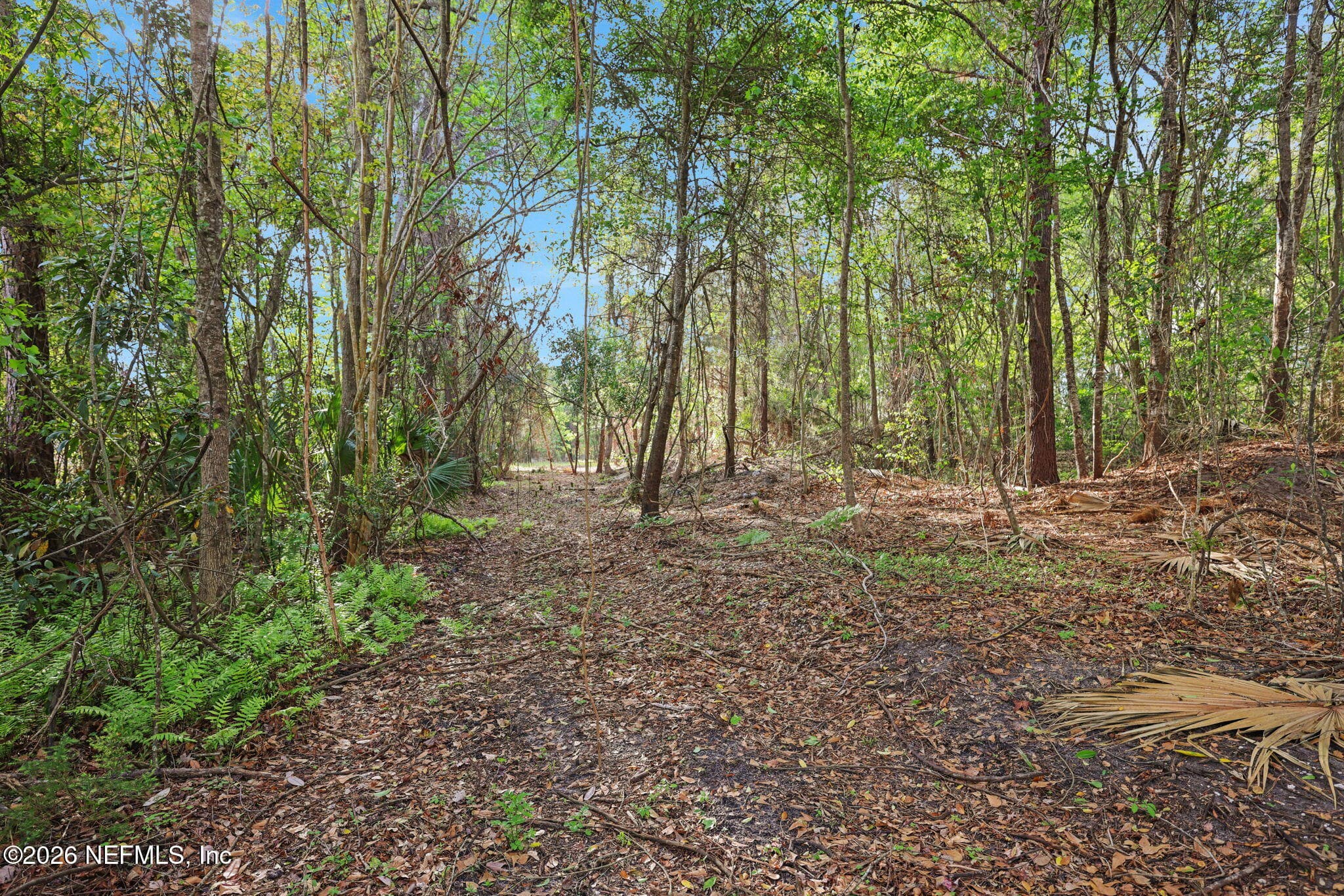 Photo 44 of 1133 GIRVIN Road, Jacksonville, FL 32225
