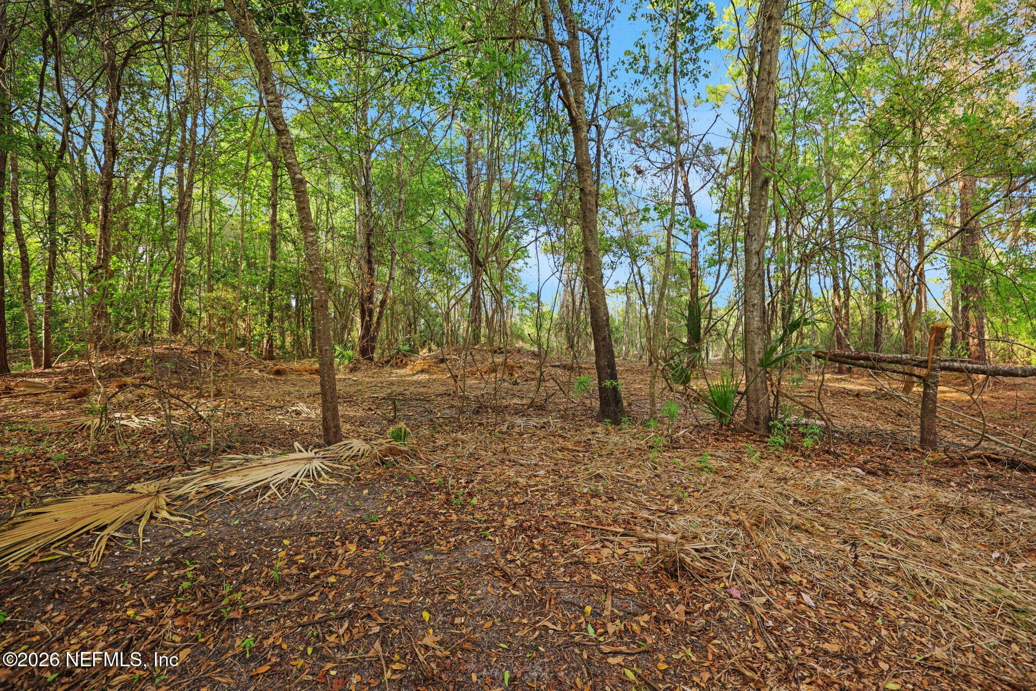 Photo 45 of 1133 GIRVIN Road, Jacksonville, FL 32225