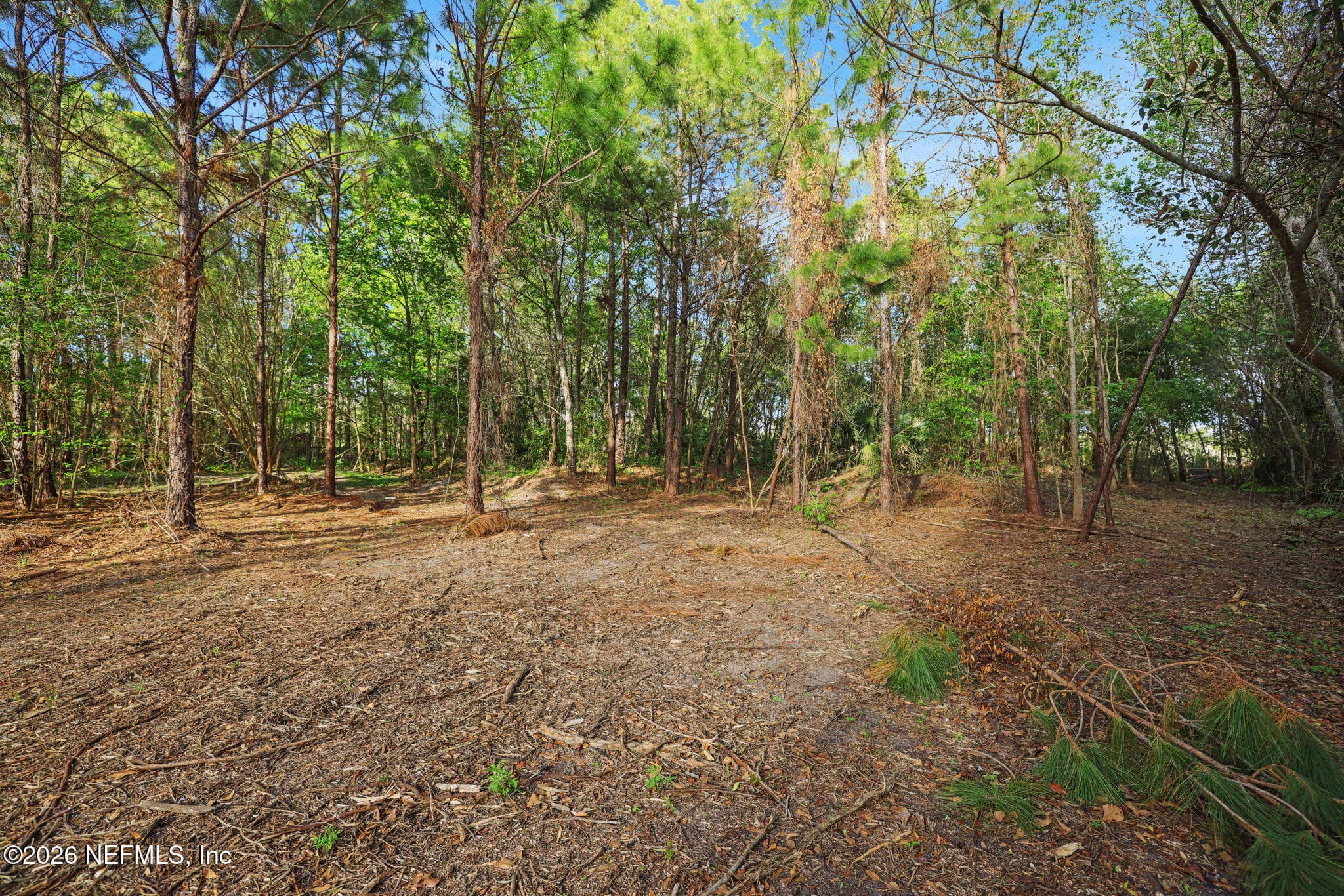 Photo 48 of 1133 GIRVIN Road, Jacksonville, FL 32225
