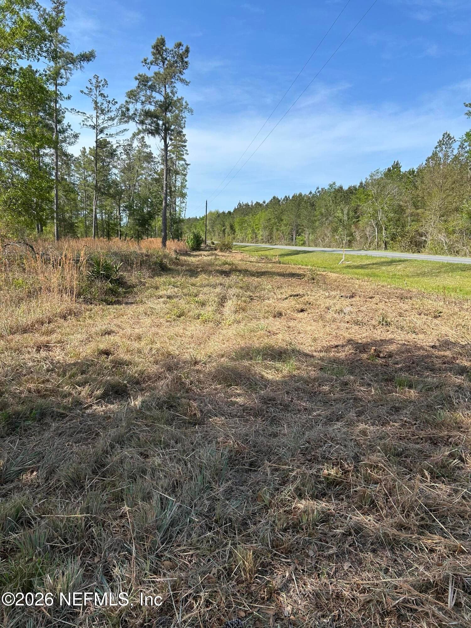 Photo 5 of 0 NW FALLING CREEK Road, Lake City, FL 32055