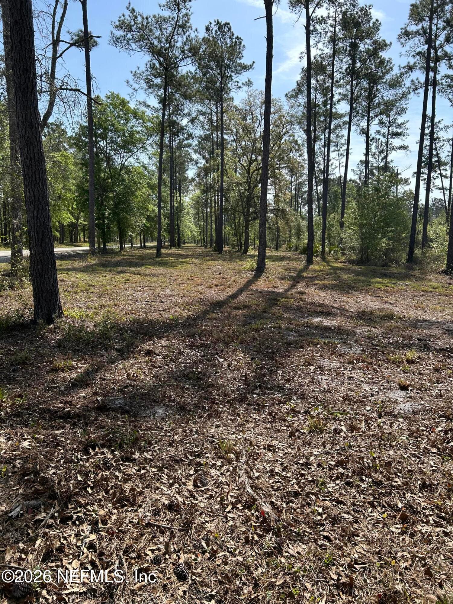 Photo 3 of 0 NW FALLING CREEK Road, Lake City, FL 32055