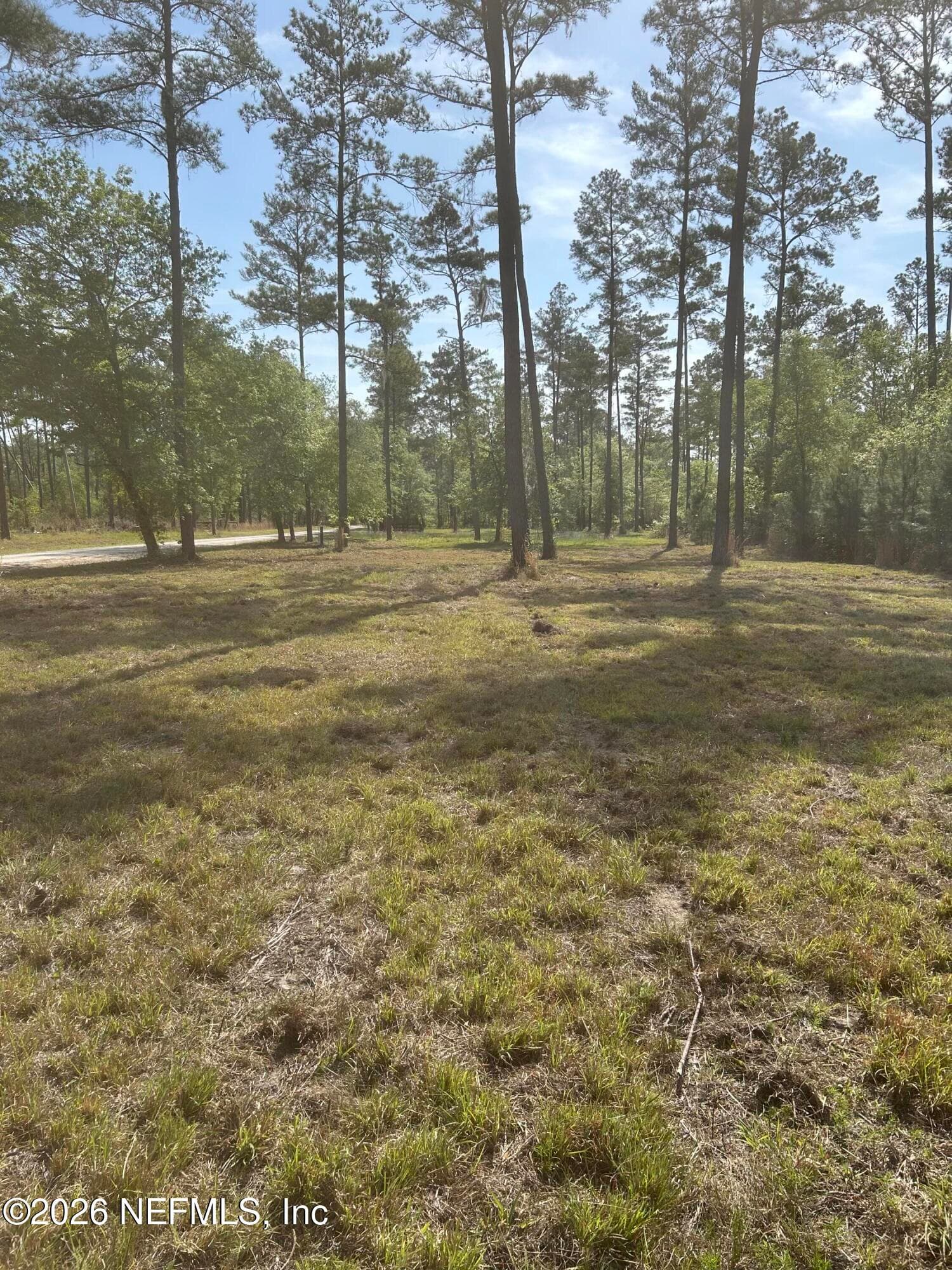 Photo 2 of 0 NW FALLING CREEK Road, Lake City, FL 32055