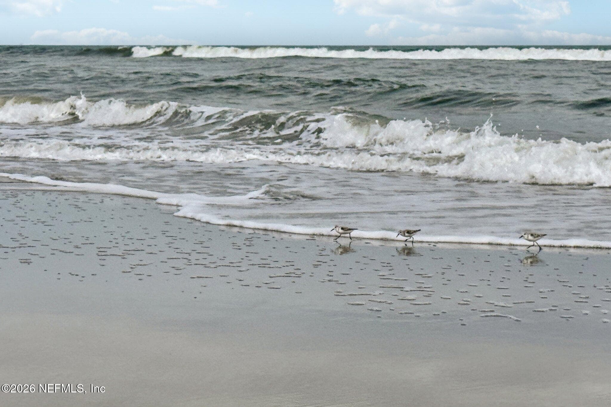 Photo 52 of 2802 2ND Street S, Jacksonville Beach, FL 32250