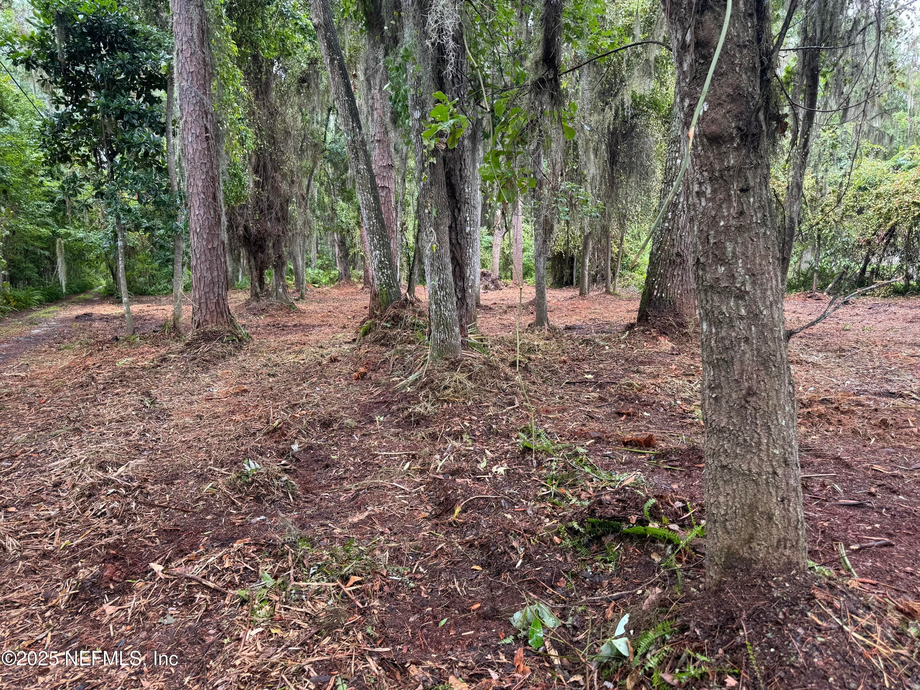 Photo 9 of 1404 S COUNTY ROAD 13, St. Augustine, FL 32092