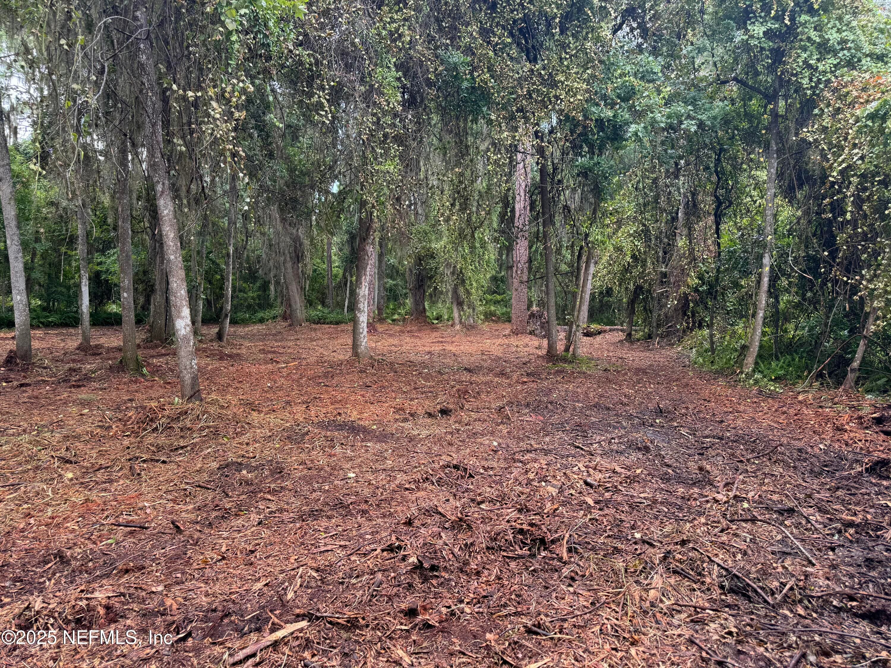 Photo 10 of 1404 S COUNTY ROAD 13, St. Augustine, FL 32092