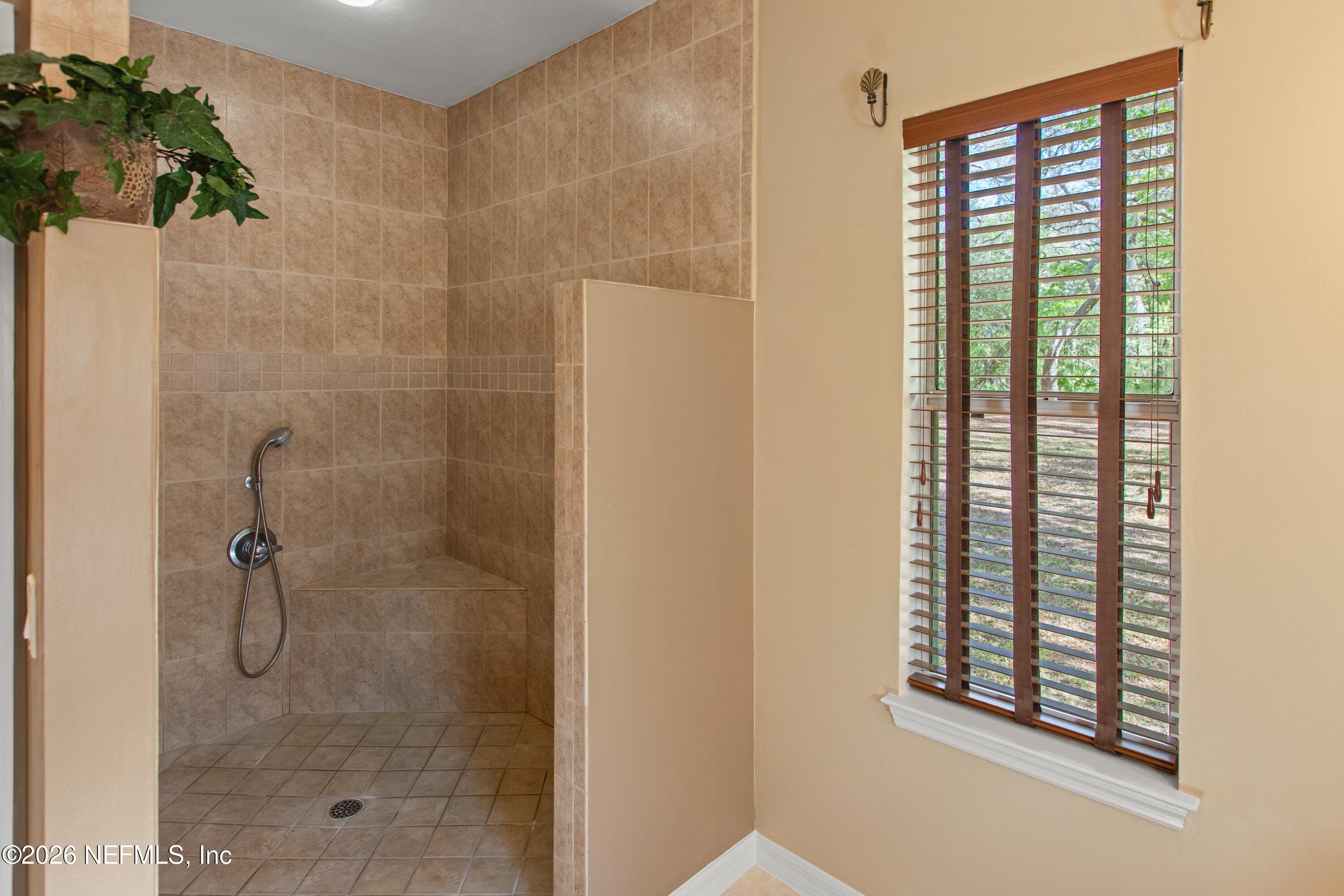 Master Shower — 1320 COUNTY RD 315, Melrose, FL 32666