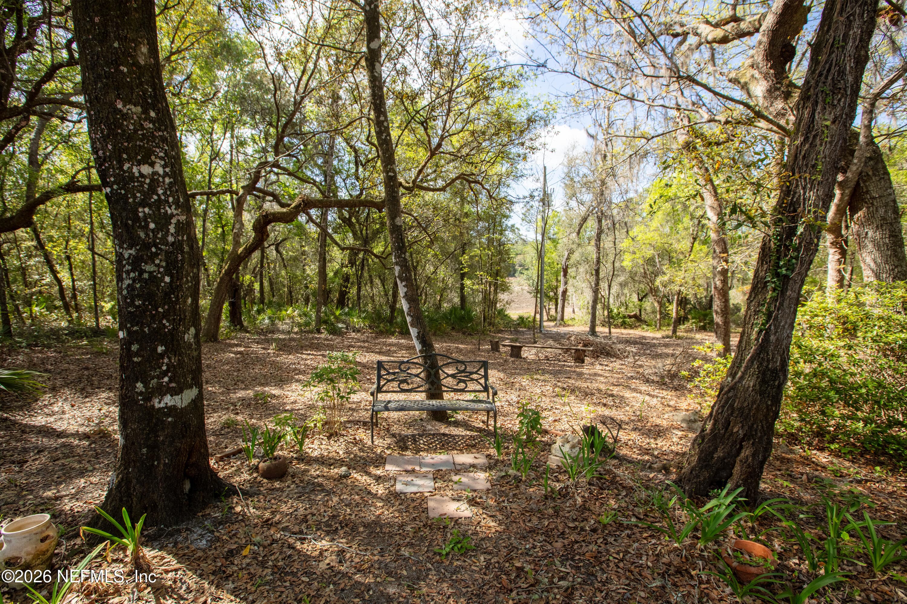 Peaceful wooded lot — 1320 COUNTY RD 315, Melrose, FL 32666