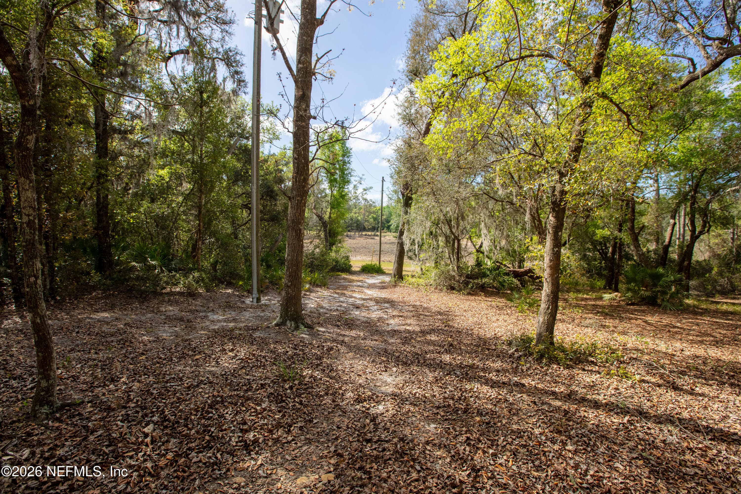 Photo 94 of 1320 COUNTY RD 315, Melrose, FL 32666