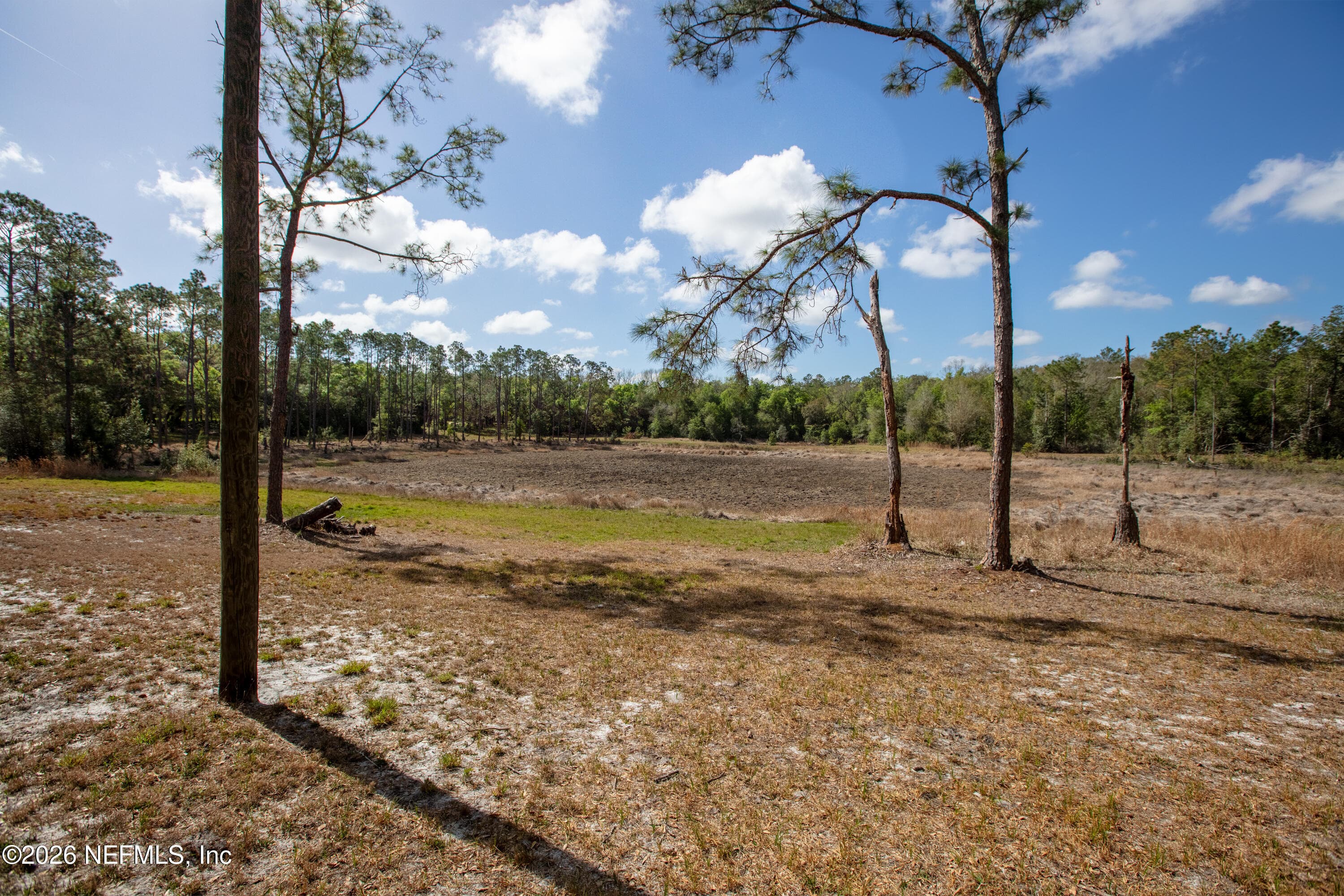 Photo 98 of 1320 COUNTY RD 315, Melrose, FL 32666