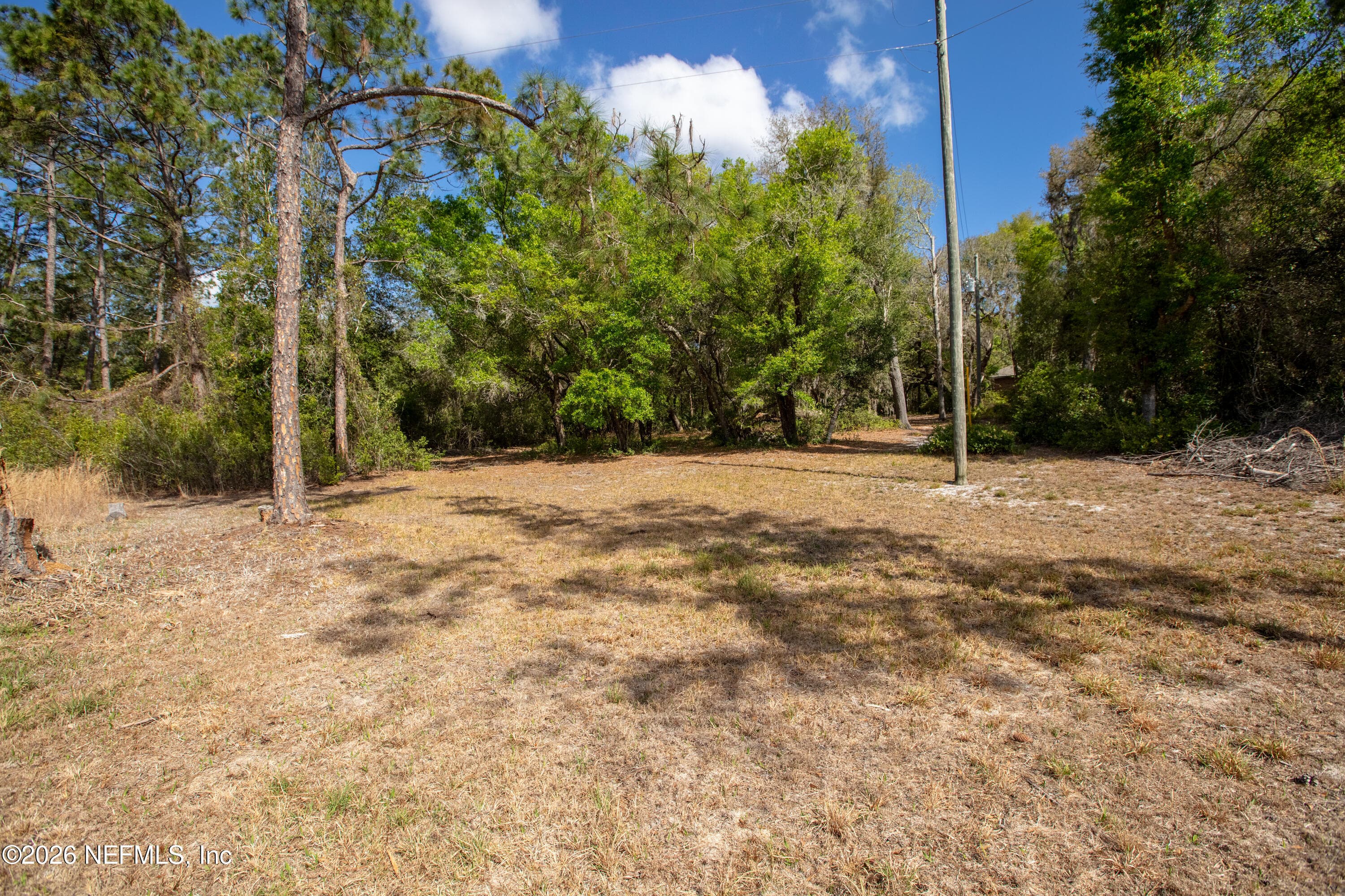Photo 99 of 1320 COUNTY RD 315, Melrose, FL 32666