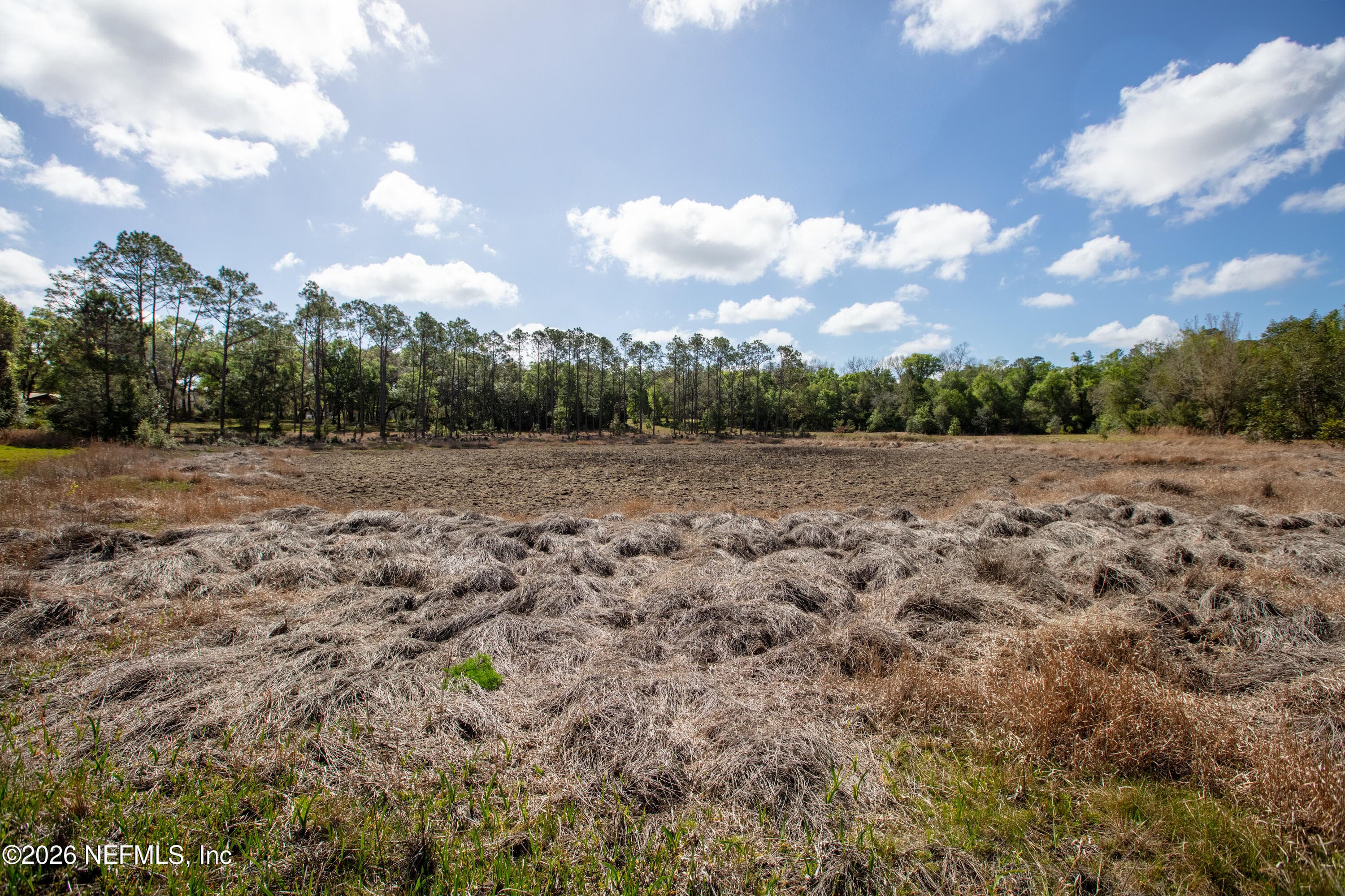 Photo 100 of 1320 COUNTY RD 315, Melrose, FL 32666