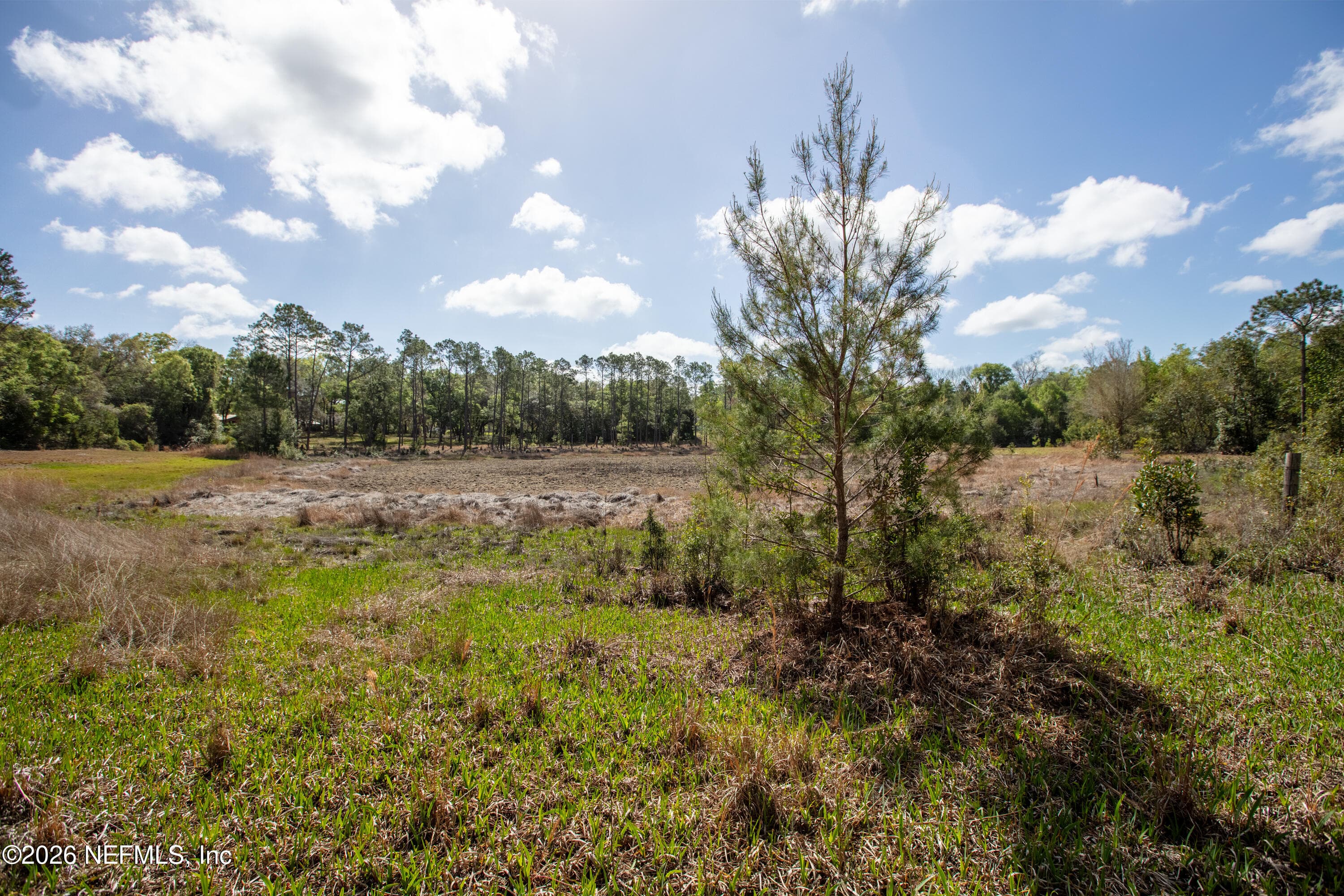Photo 101 of 1320 COUNTY RD 315, Melrose, FL 32666