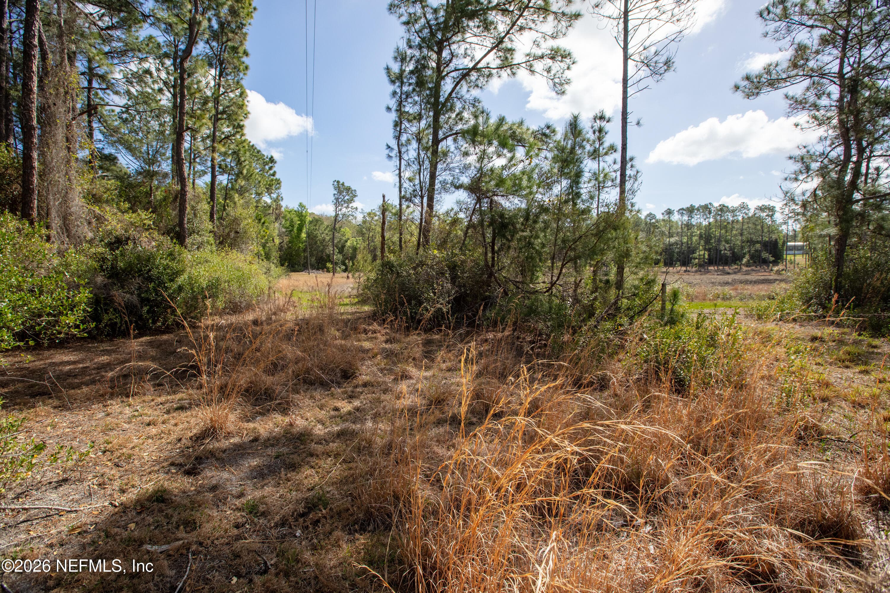 Photo 102 of 1320 COUNTY RD 315, Melrose, FL 32666