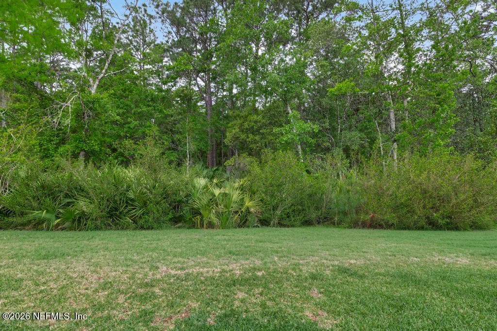 Photo 66 of 360 MEADOW CREEK Drive, St. Johns, FL 32259