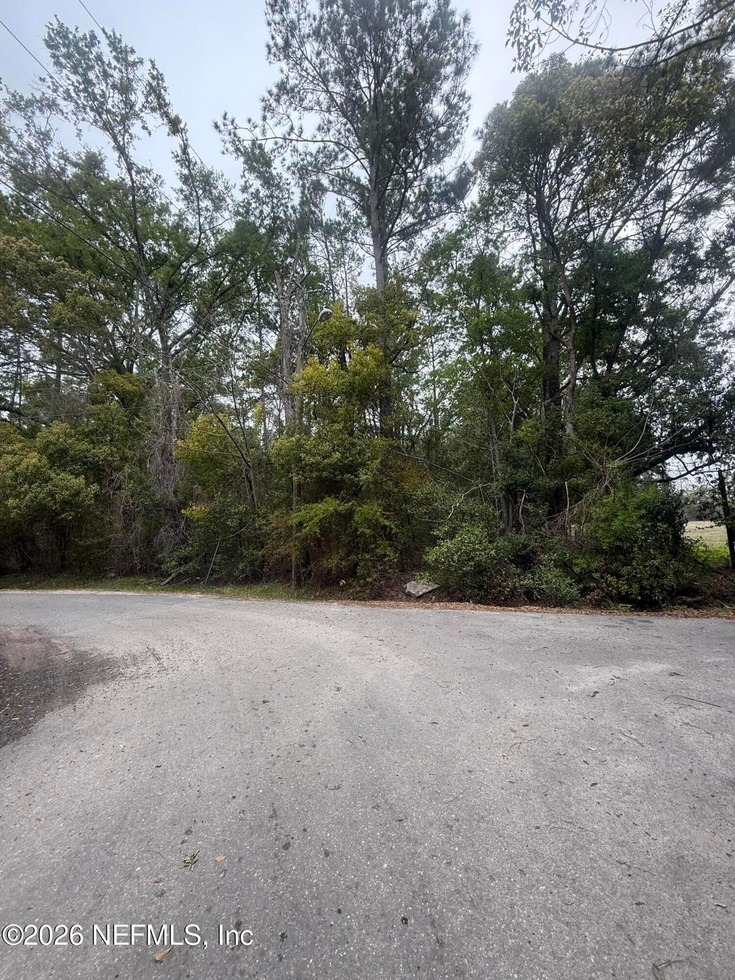 Photo 3 of TBD CRUM, Starke, FL 32091