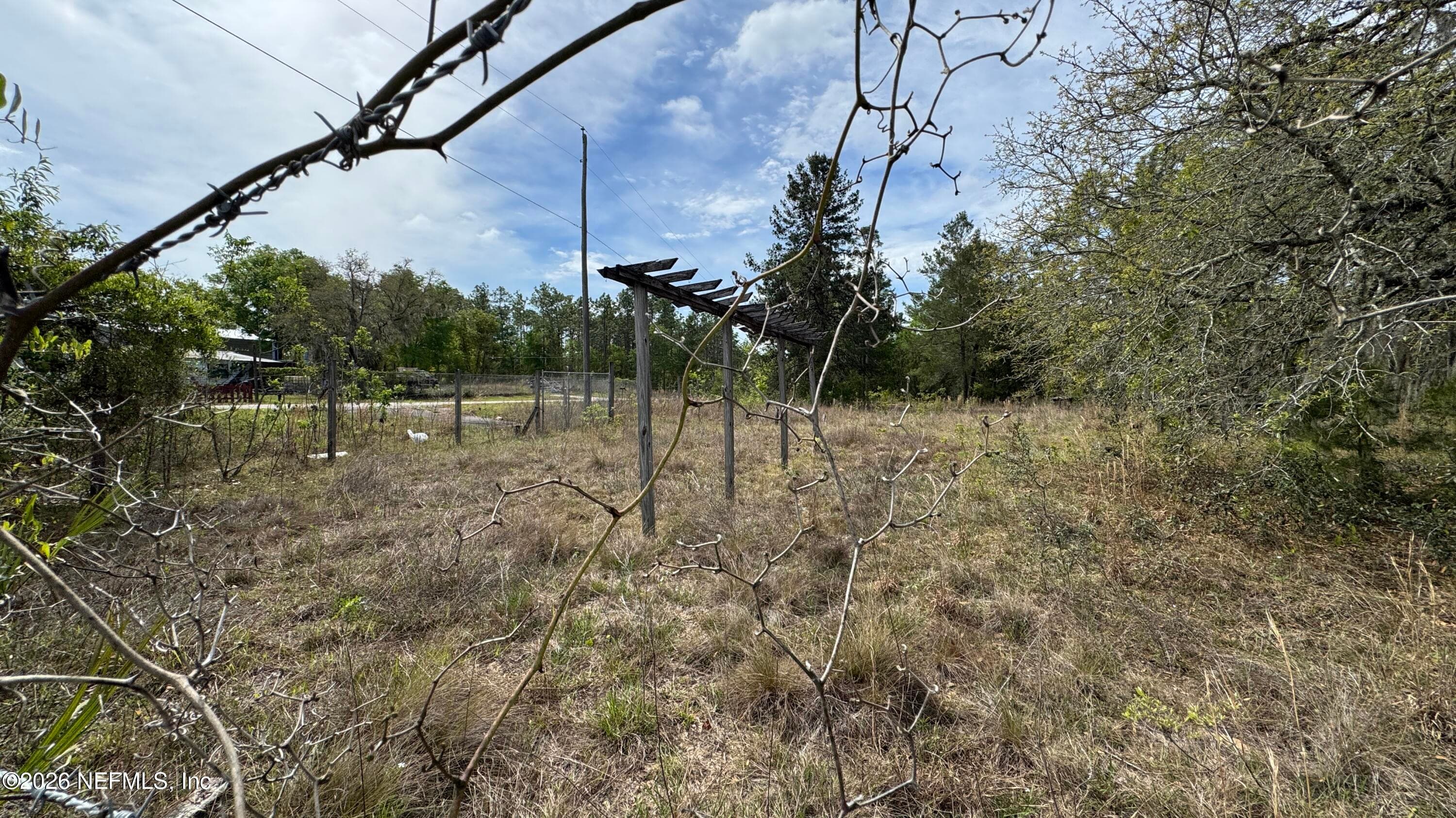 Photo 6 of 00 STATE RD 20, Interlachen, FL 32148