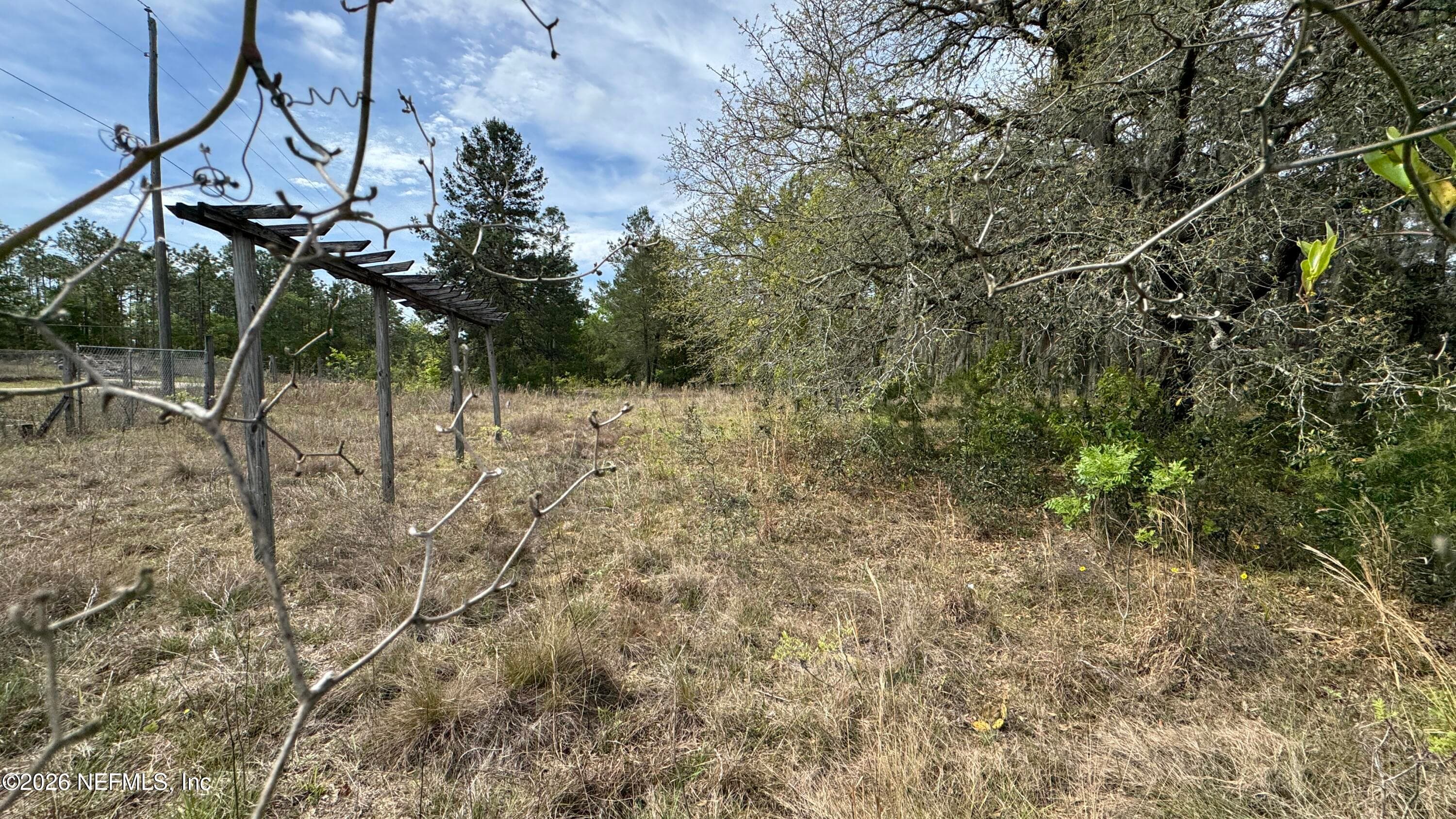 Photo 7 of 00 STATE RD 20, Interlachen, FL 32148