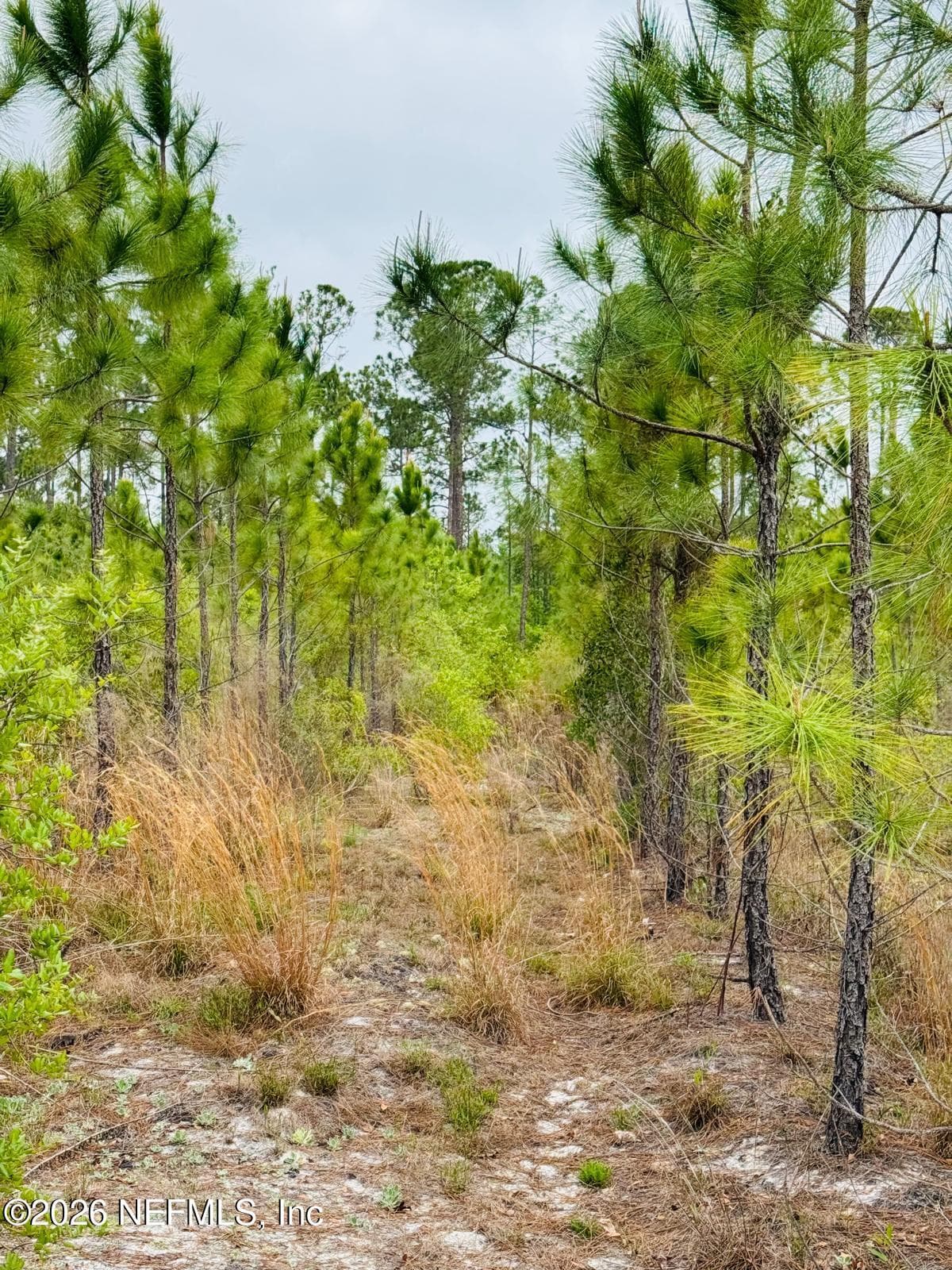Photo 17 of 2857 STEEL BRIDGE Road, Macclenny, FL 32063