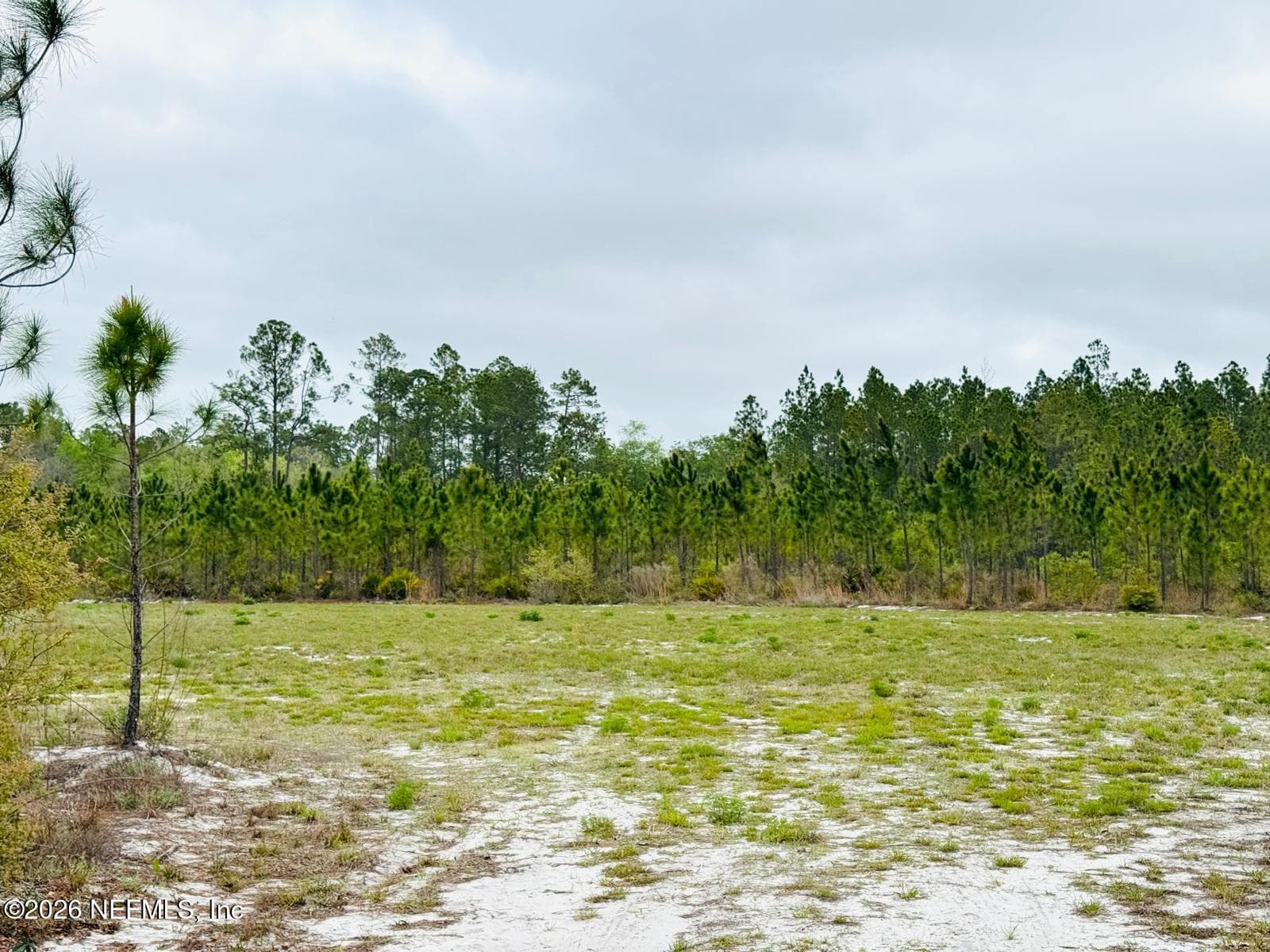 Photo 9 of 2857 STEEL BRIDGE Road, Macclenny, FL 32063