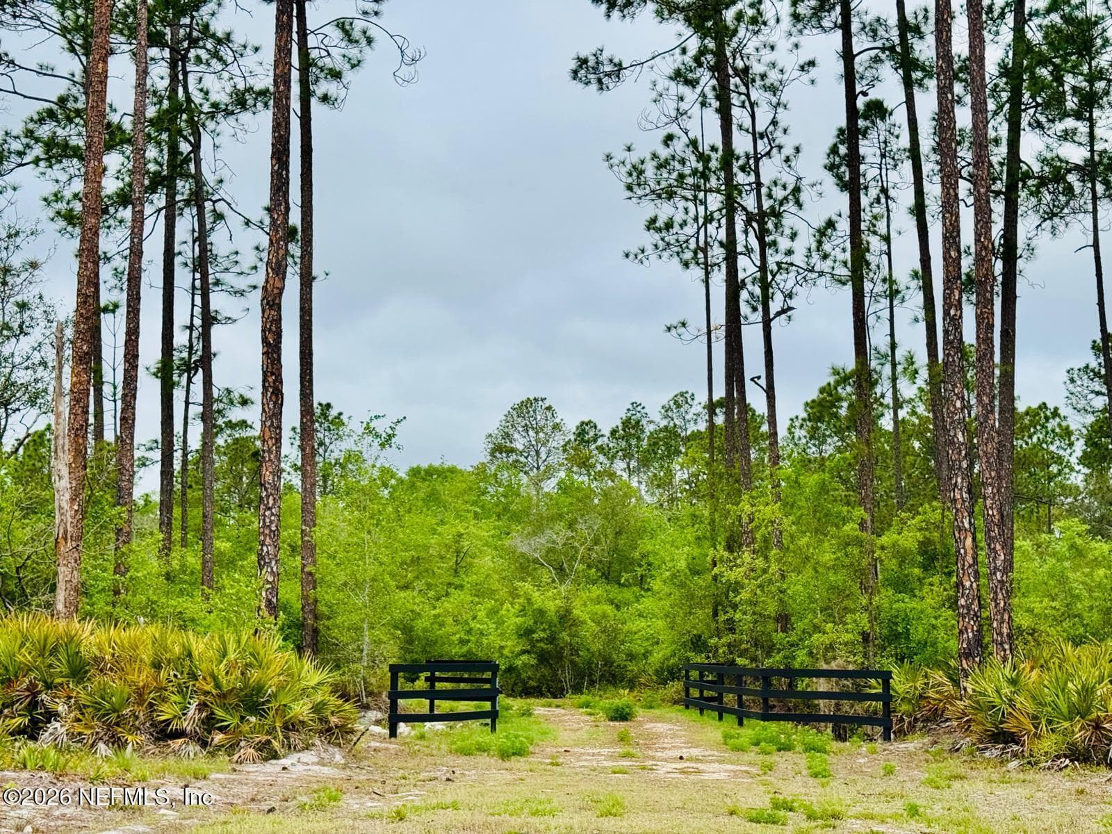 Photo 10 of 2857 STEEL BRIDGE Road, Macclenny, FL 32063