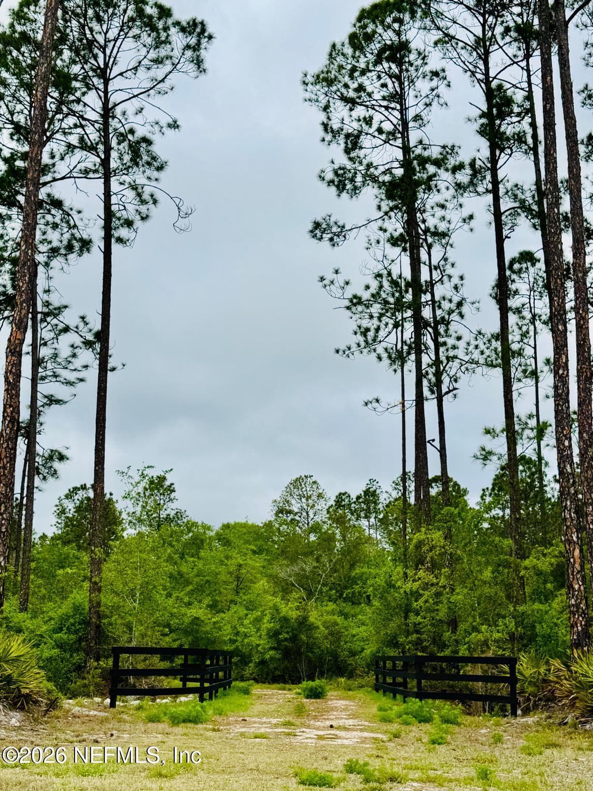 Photo 11 of 2857 STEEL BRIDGE Road, Macclenny, FL 32063