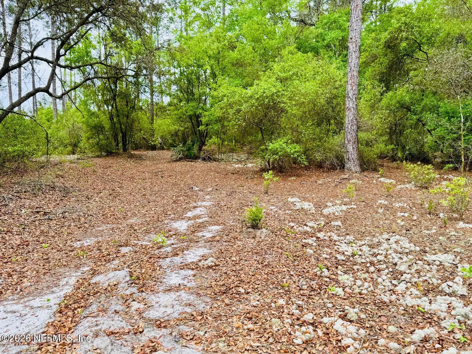 Photo 19 of 2857 STEEL BRIDGE Road, Macclenny, FL 32063